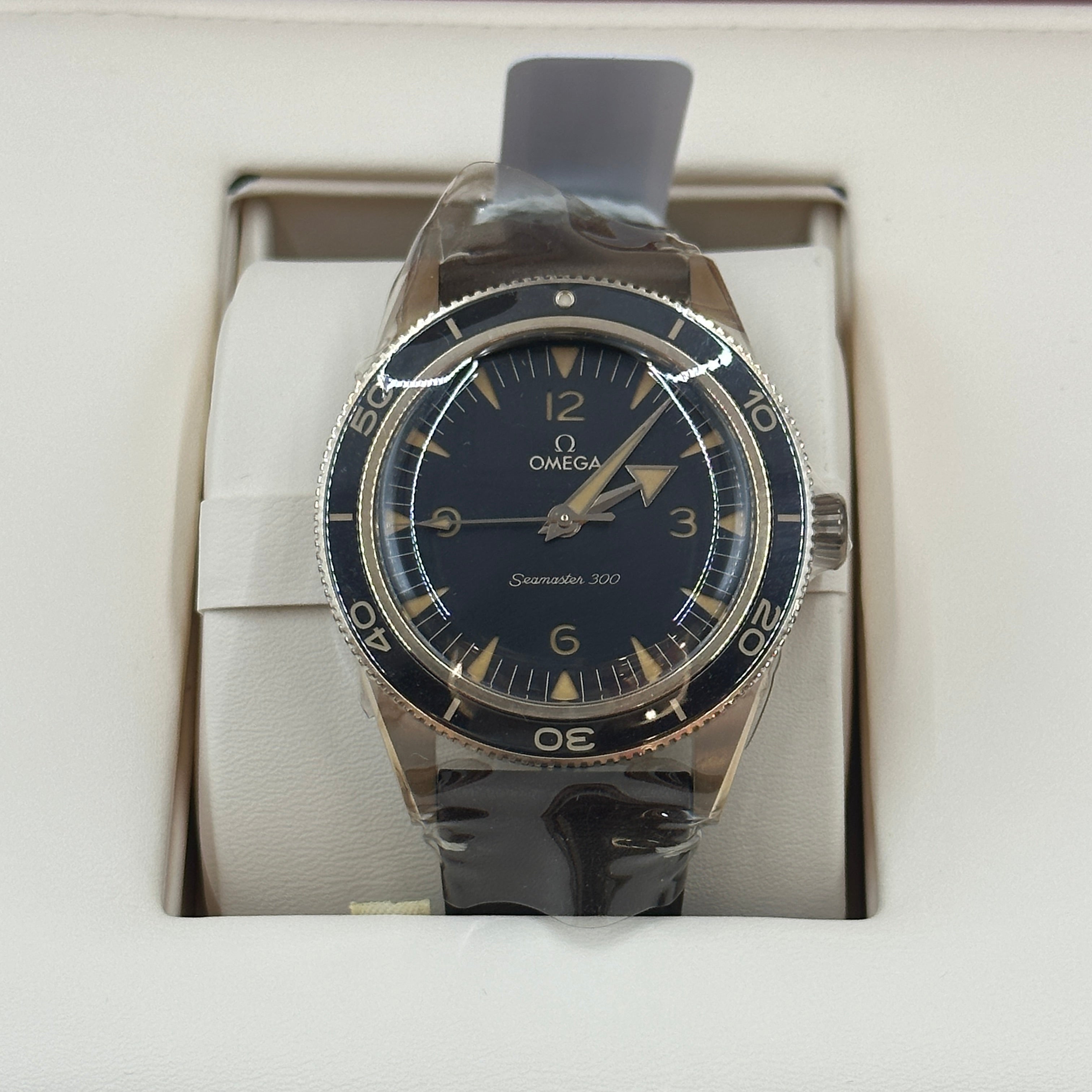 Omega Seamaster 300 Co-Axial Master Chronometer 41 MM  234.92.41.21.10.001