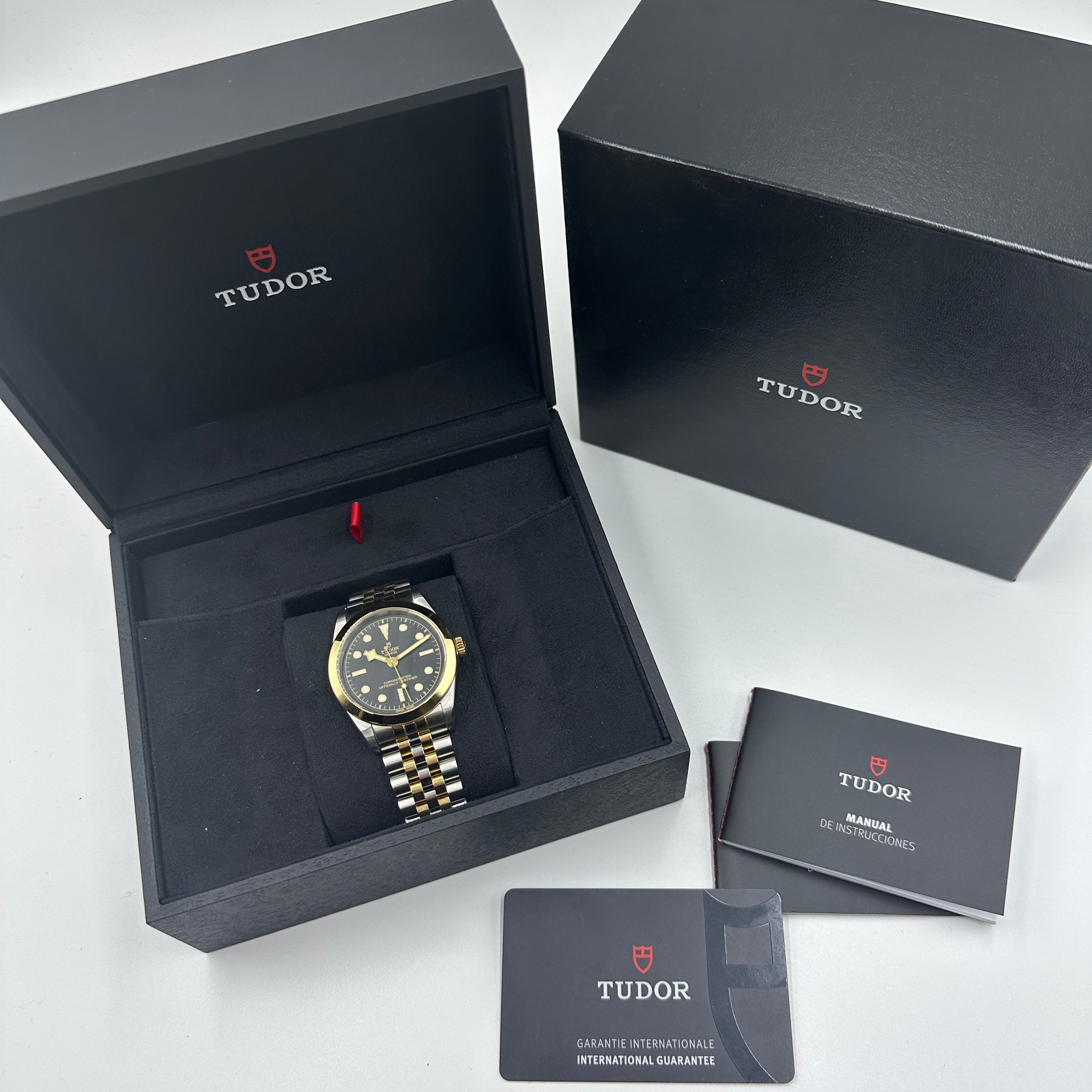 Tudor Black Bay 39 S&g M79663-0001