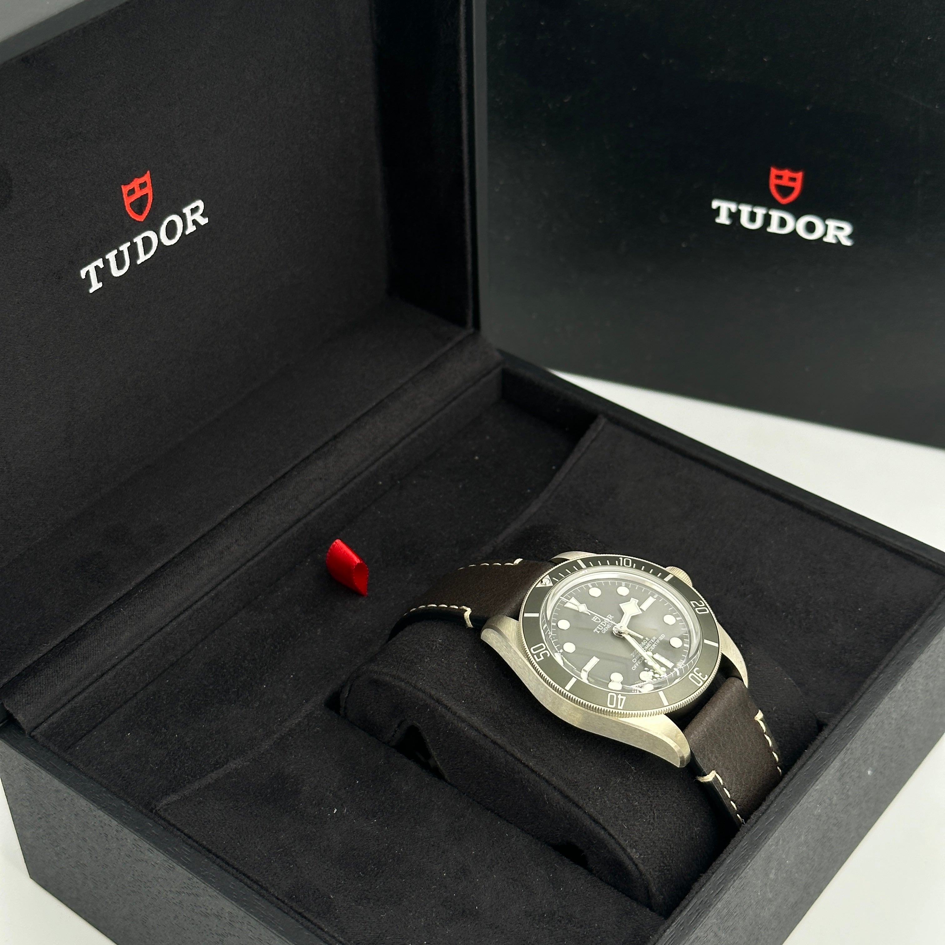 Tudor Black Bay Fifty-Eight 925 M79010SG-0001