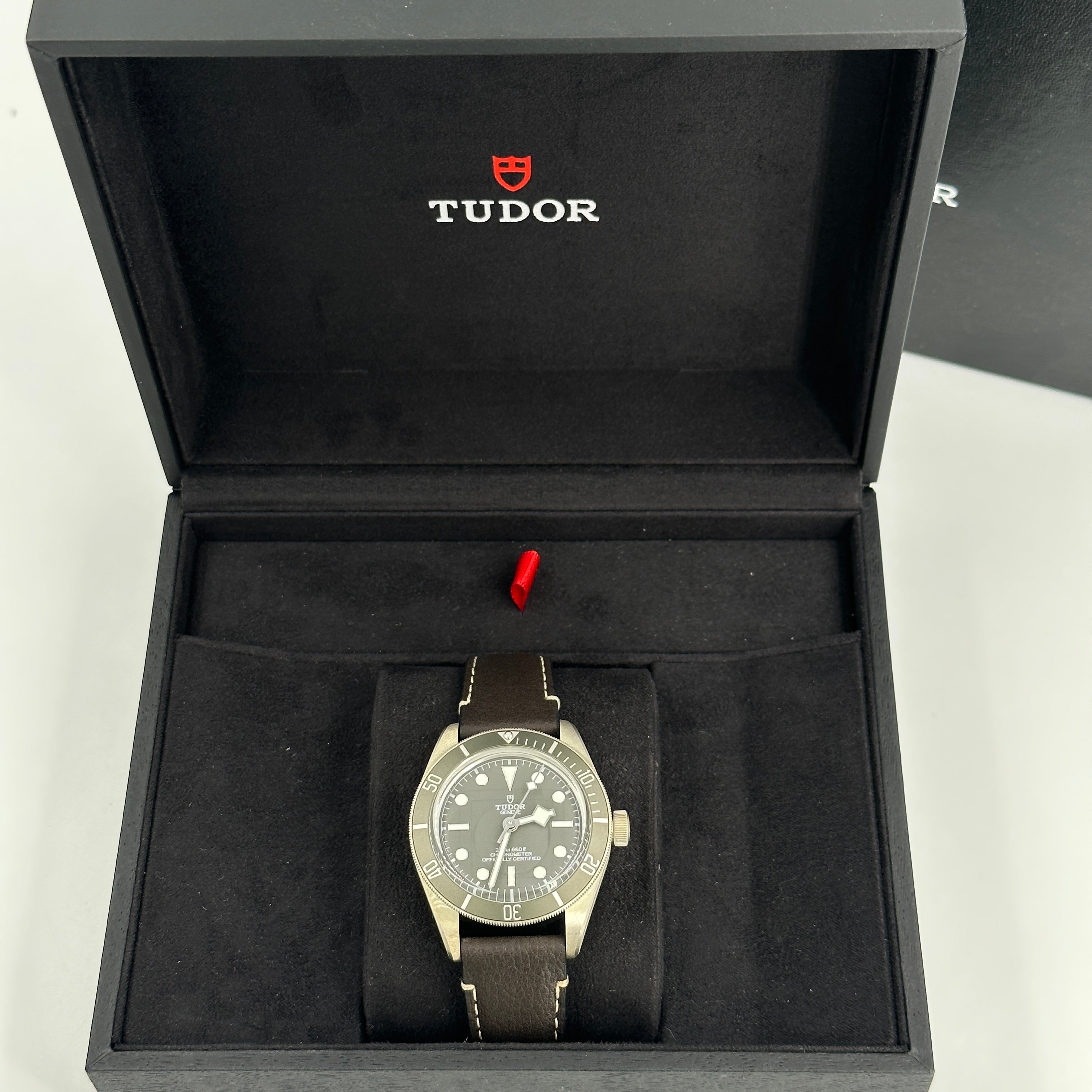 Tudor Black Bay Fifty-Eight 925 M79010SG-0001