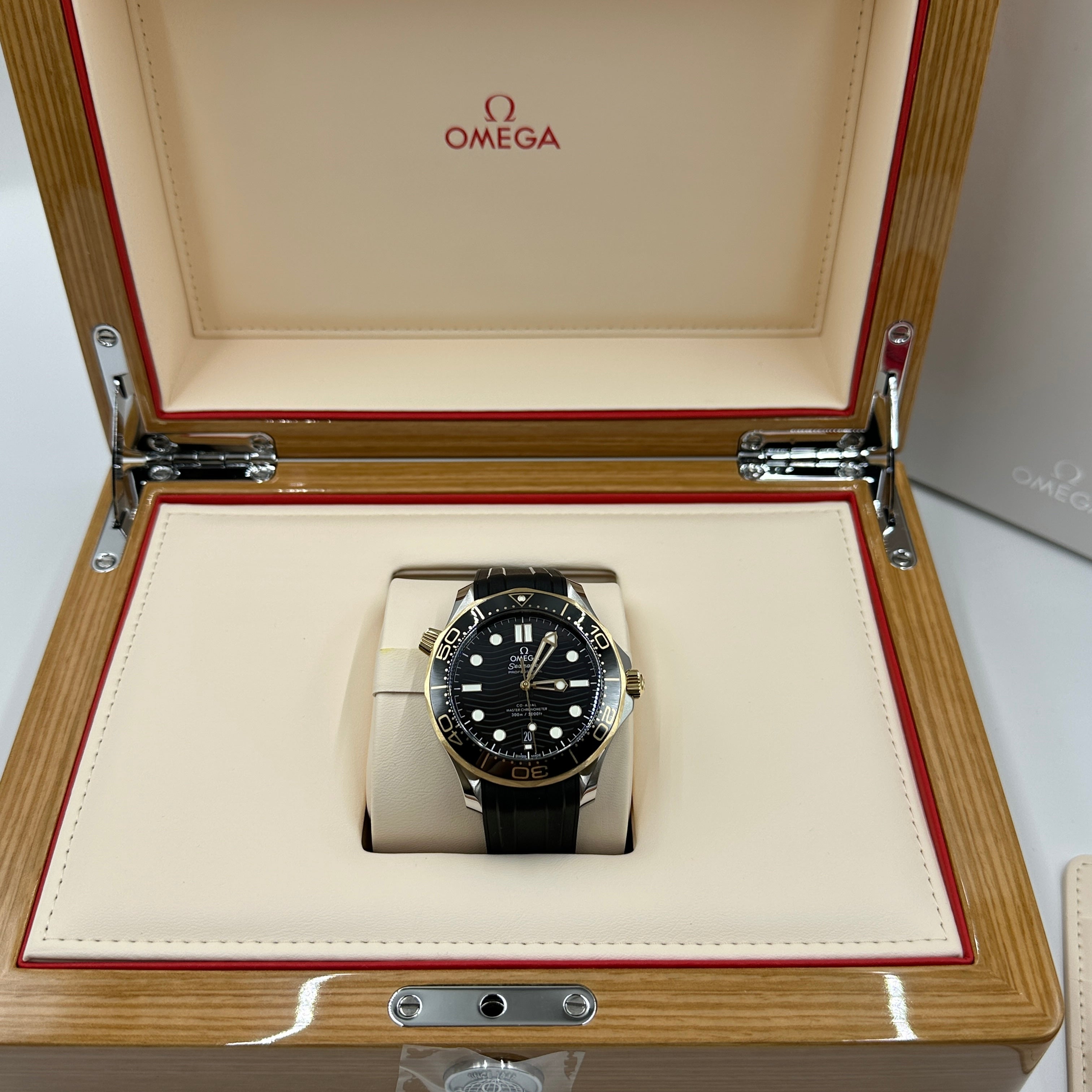 Omega Seamaster Diver 300 M 210.22.42.20.01.001 2026