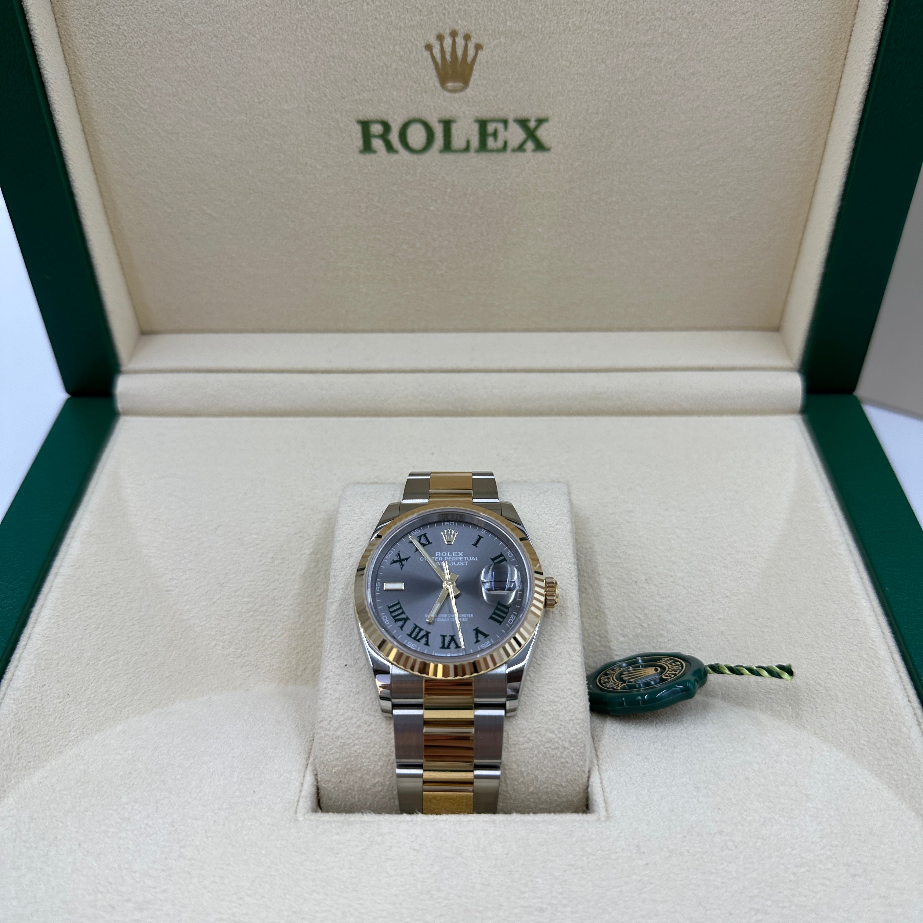 Rolex Datejust 36 126233 Wim Oyster 2025
