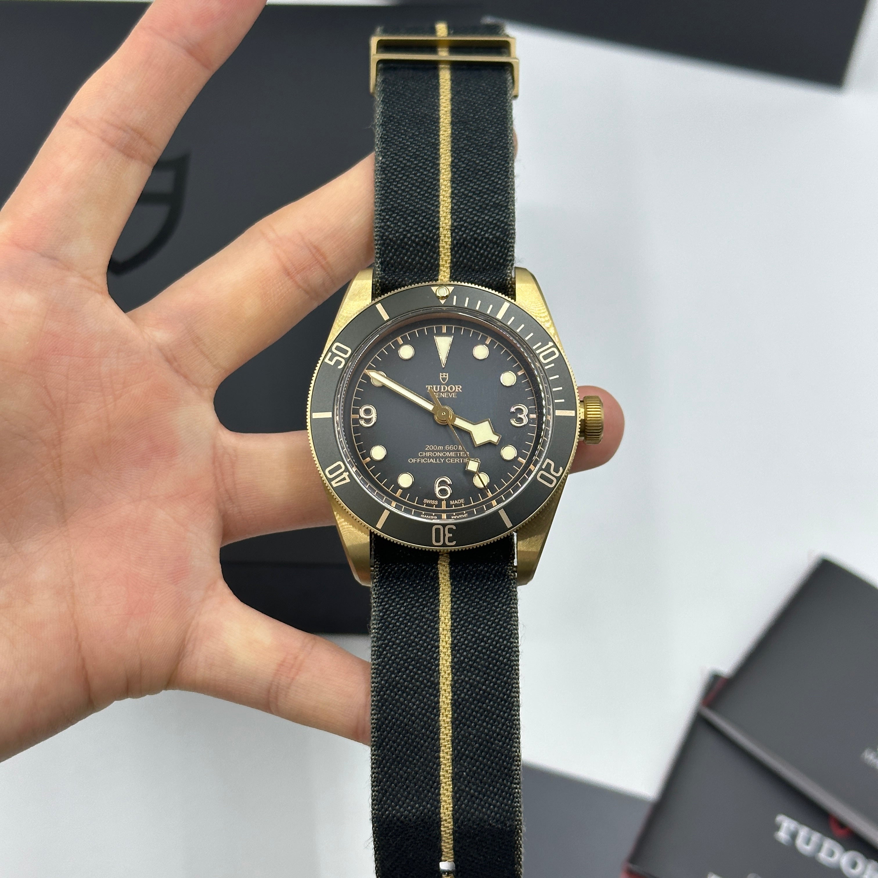 Tudor Black Bay Bronze M79250BA-0002 TELA