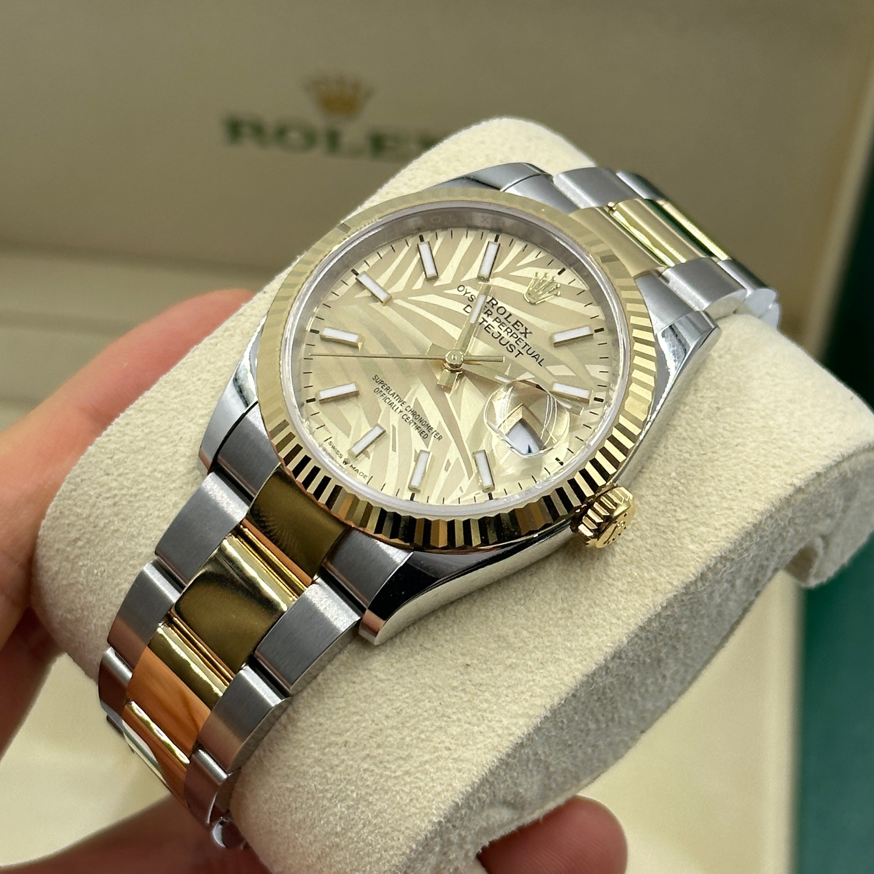 Rolex Datejust 36 126233 Champ Palm Oyster 2024