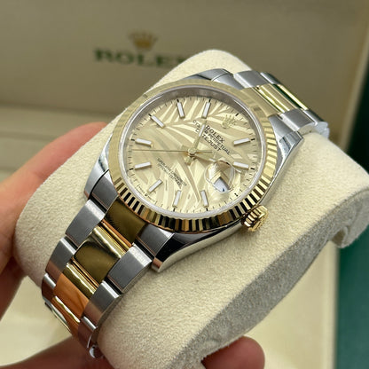 Rolex Datejust 36 126233 Champ Palm Oyster 2024