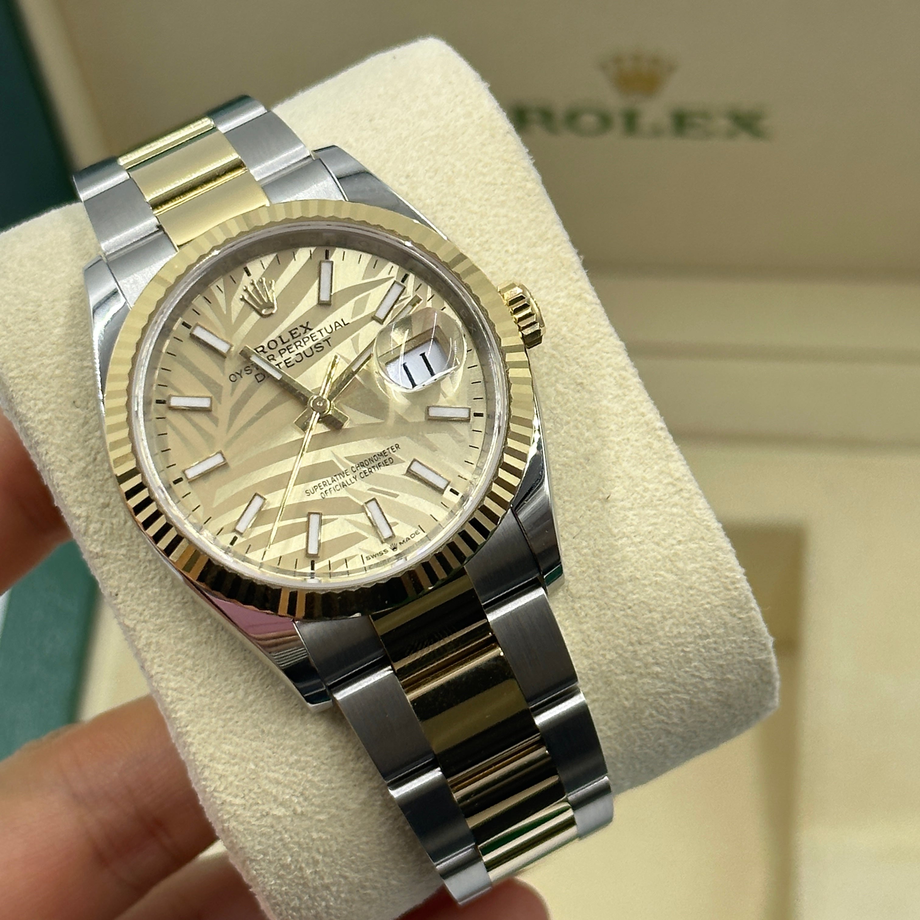 Rolex Datejust 36 126233 Champ Palm Oyster 2024