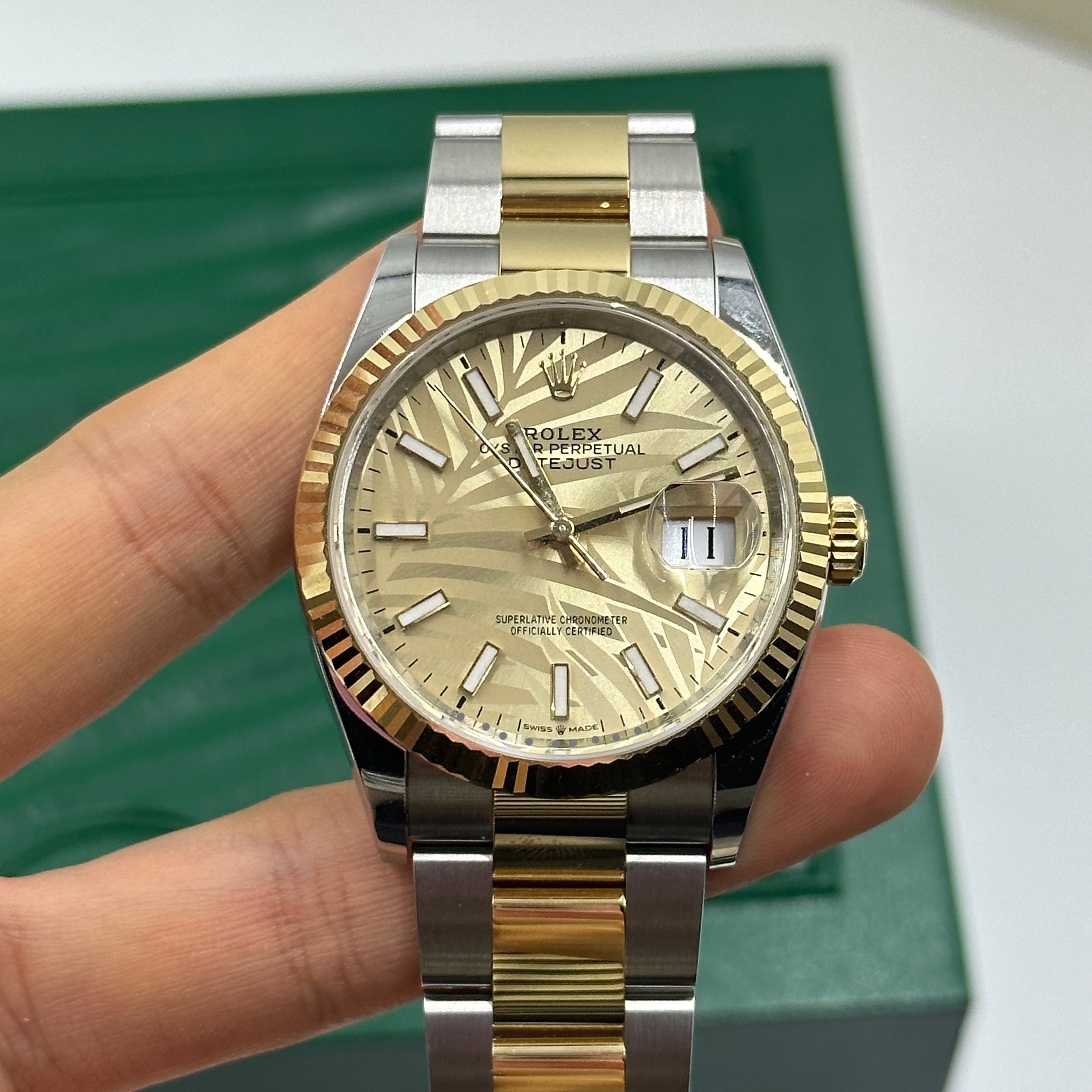 Rolex Datejust 36 126233 Champ Palm Oyster 2024