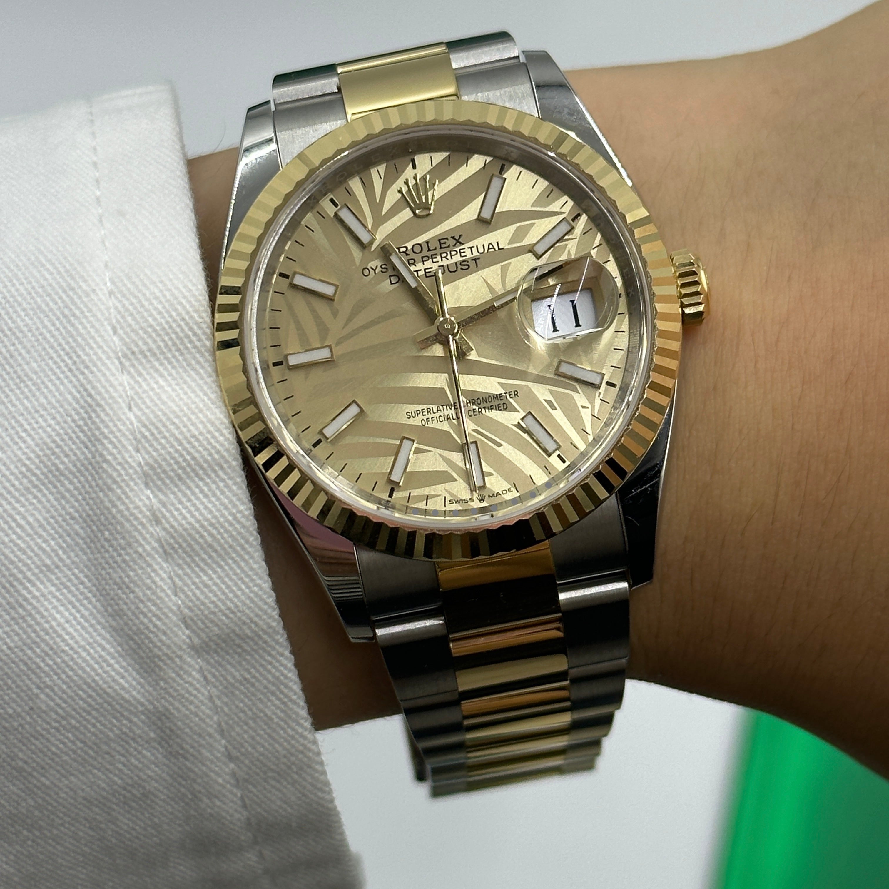 Rolex Datejust 36 126233 Champ Palm Oyster 2024