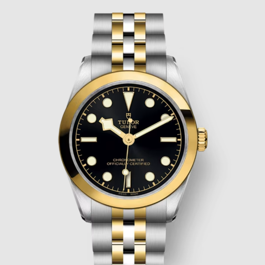 Tudor Black Bay 31 S&g BLACK M79603-0001 2026