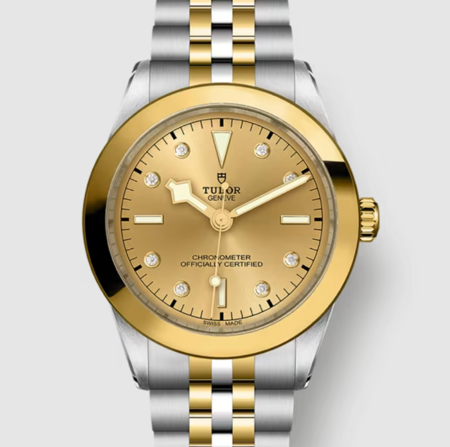 Tudor Black Bay 39  M79663-0008 CHAMP DIAMONDS 2026