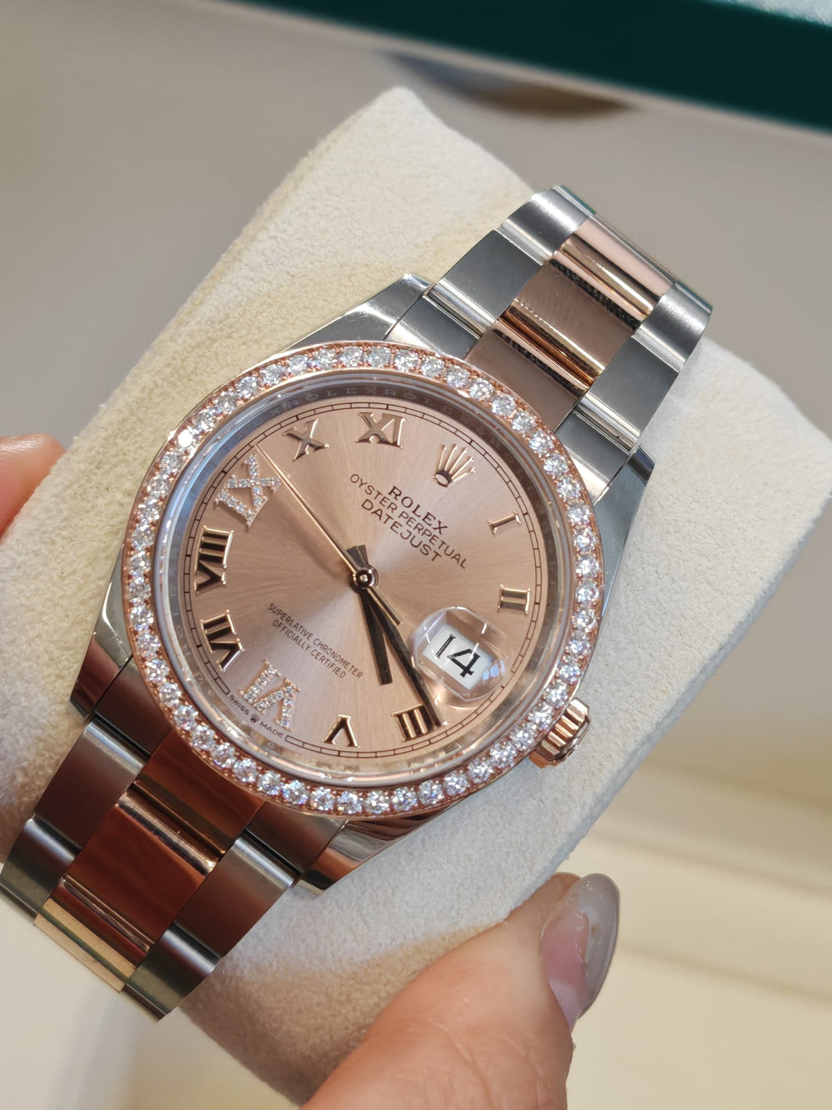 Rolex Datejust 36 126281RBR VIIX Pink Roman Dial Oyster 126281RBR-0016 2026