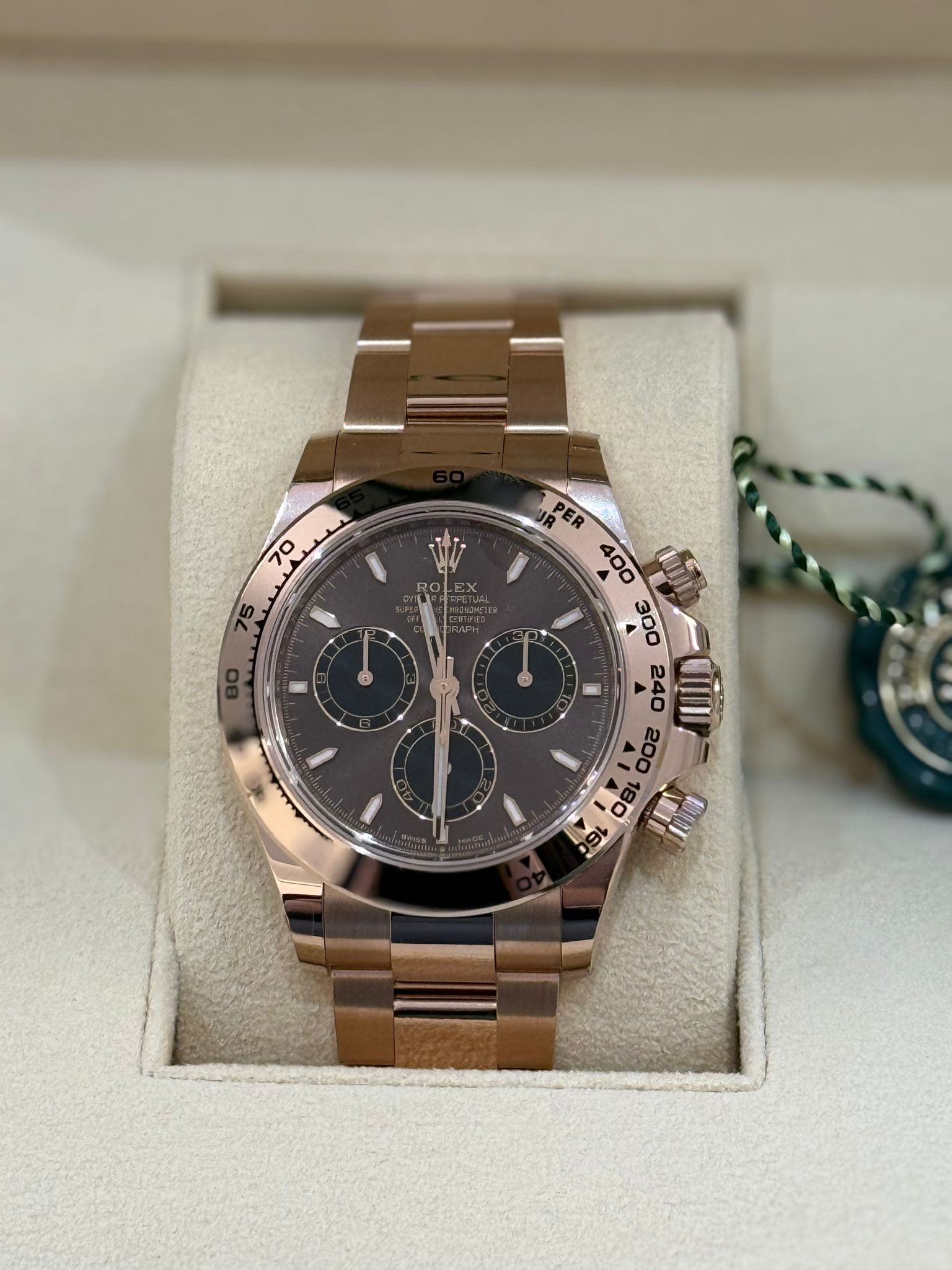 Rolex Daytona 126505 Chocolate
