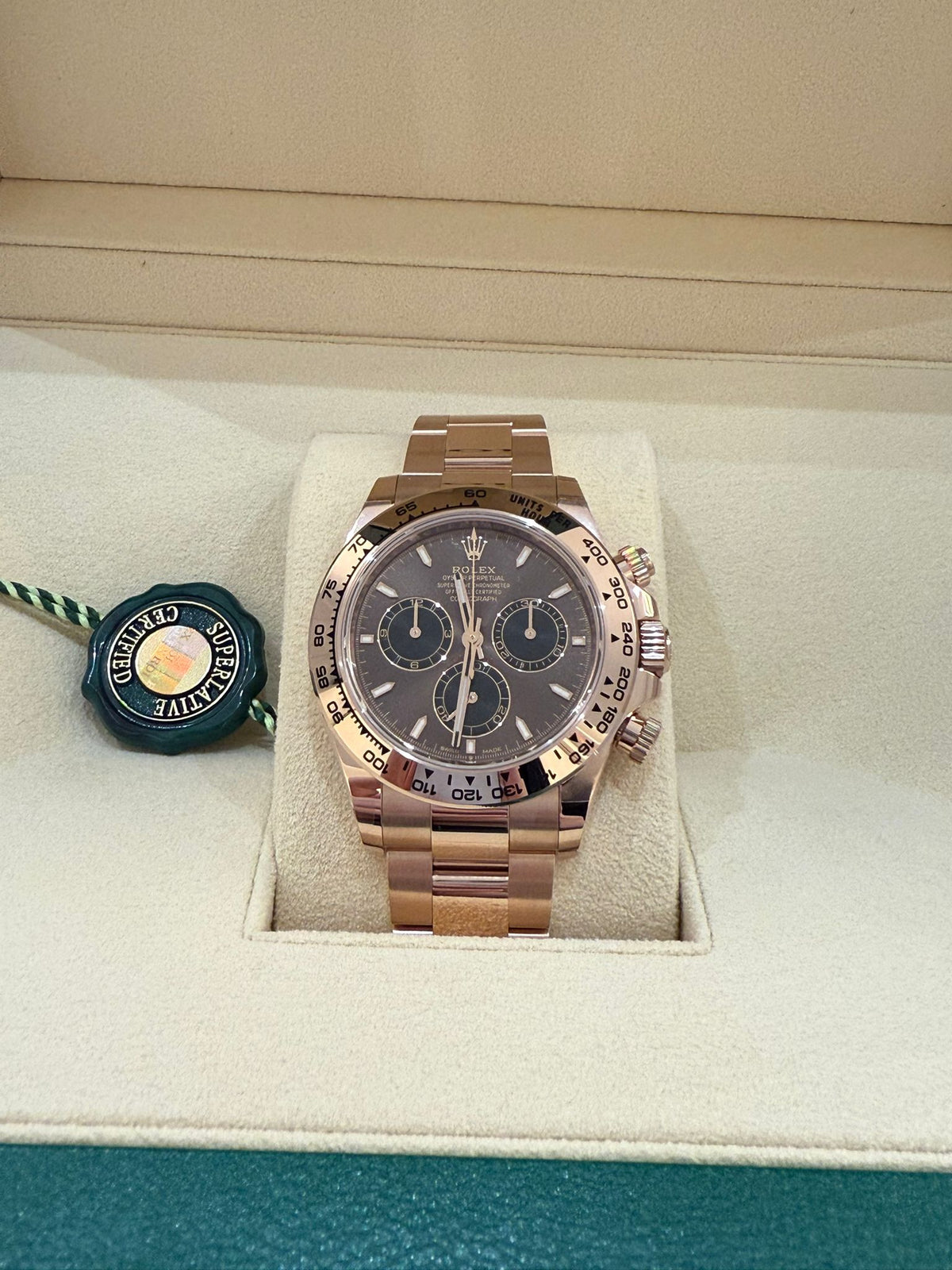 Rolex Daytona 126505 Chocolate 2026