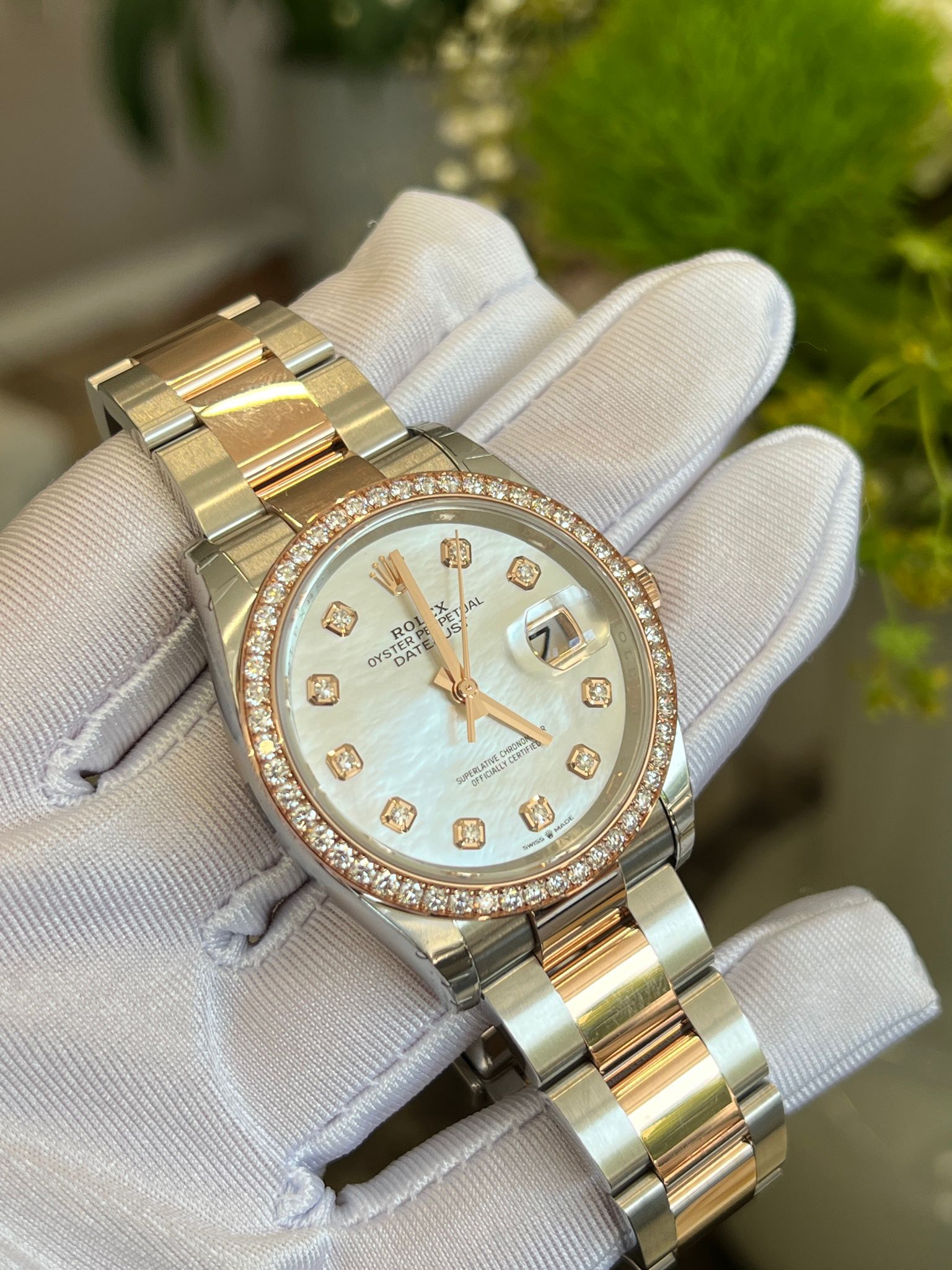 Rolex Datejust 36 126281RBR Ng White Oyster 2025