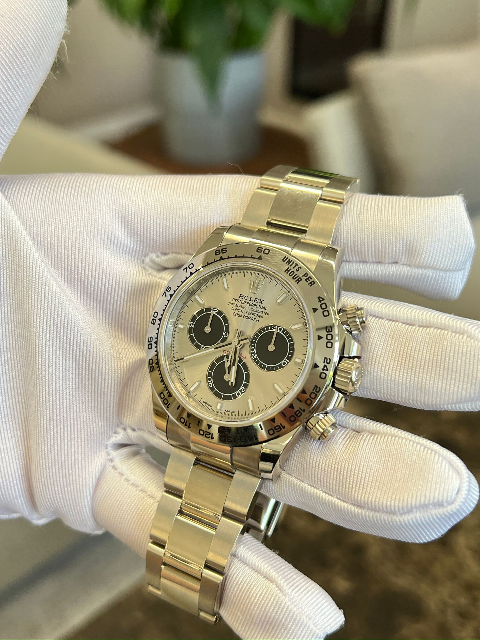 Rolex daytona 126509 GREY