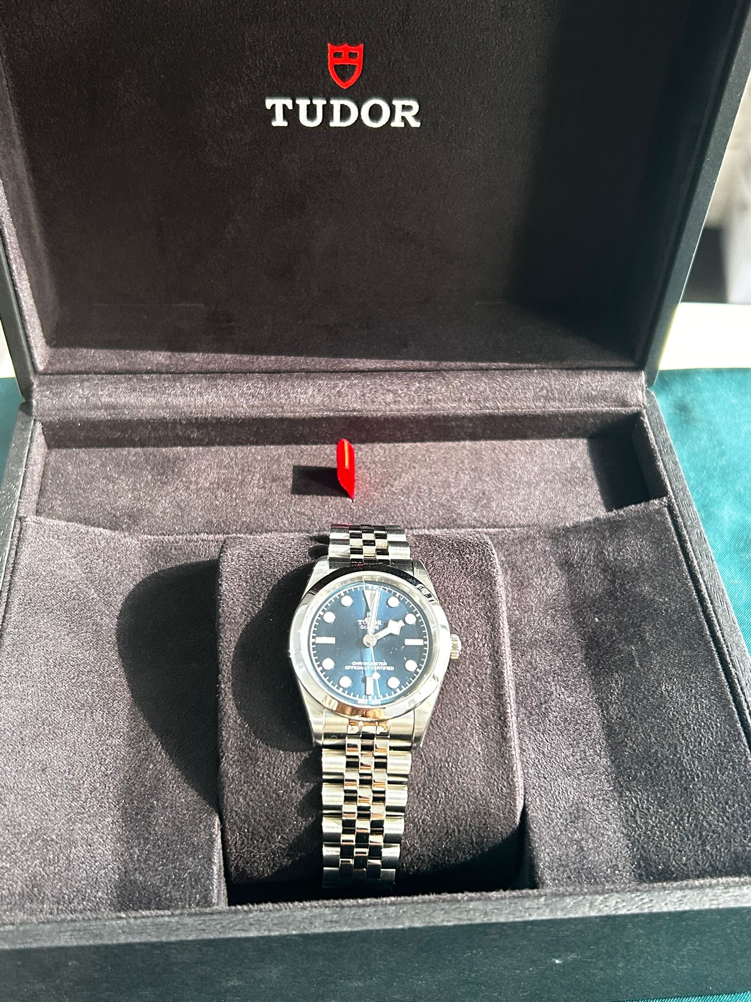 Tudor Black Bay M79600-0002 BLUE