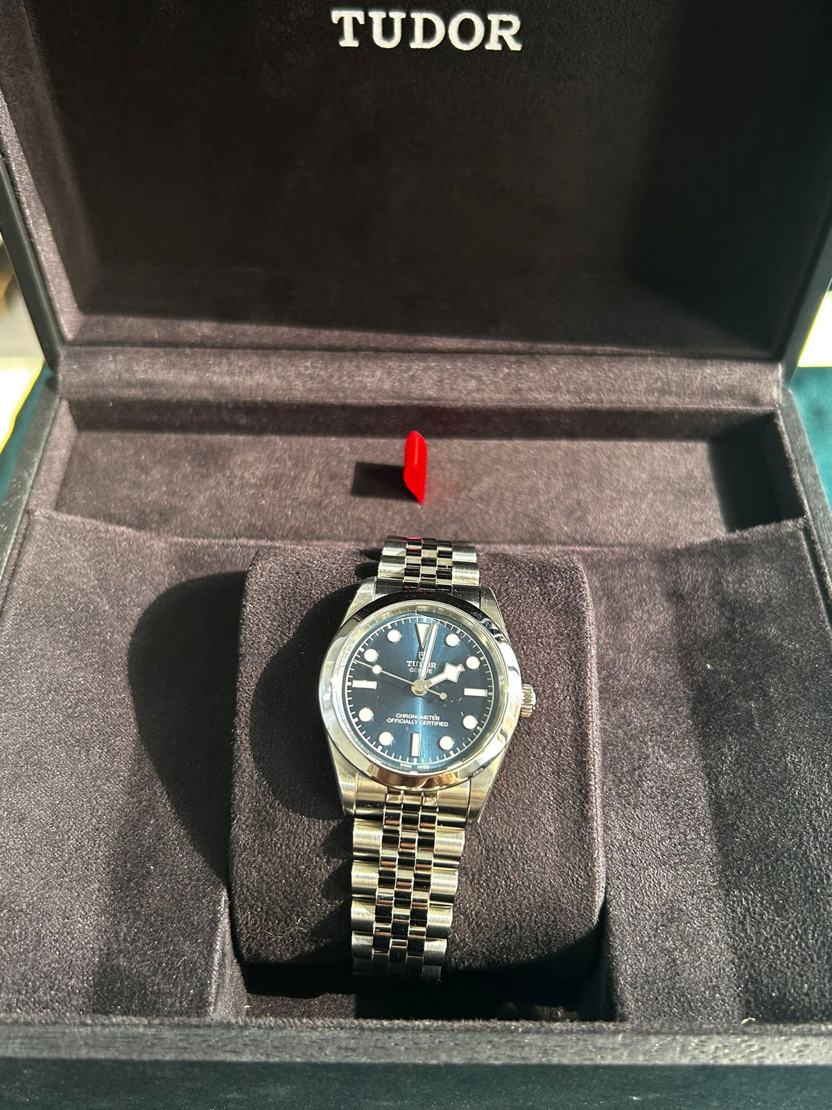 Tudor Black Bay M79600-0002 Blue 2025