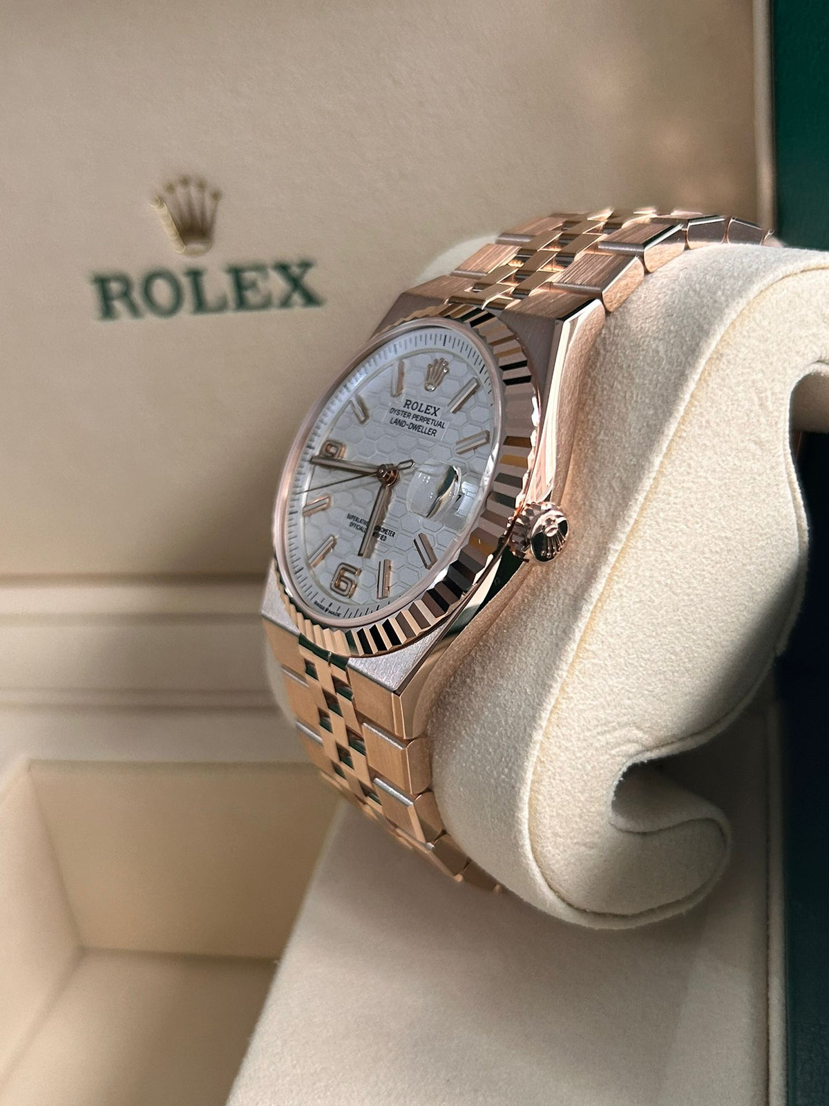 Rolex Land-Dweller 40 127335 White 2025