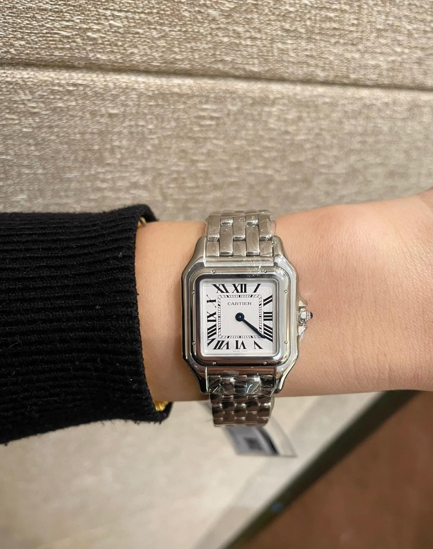Cartier Panthère WSPN0016 2026