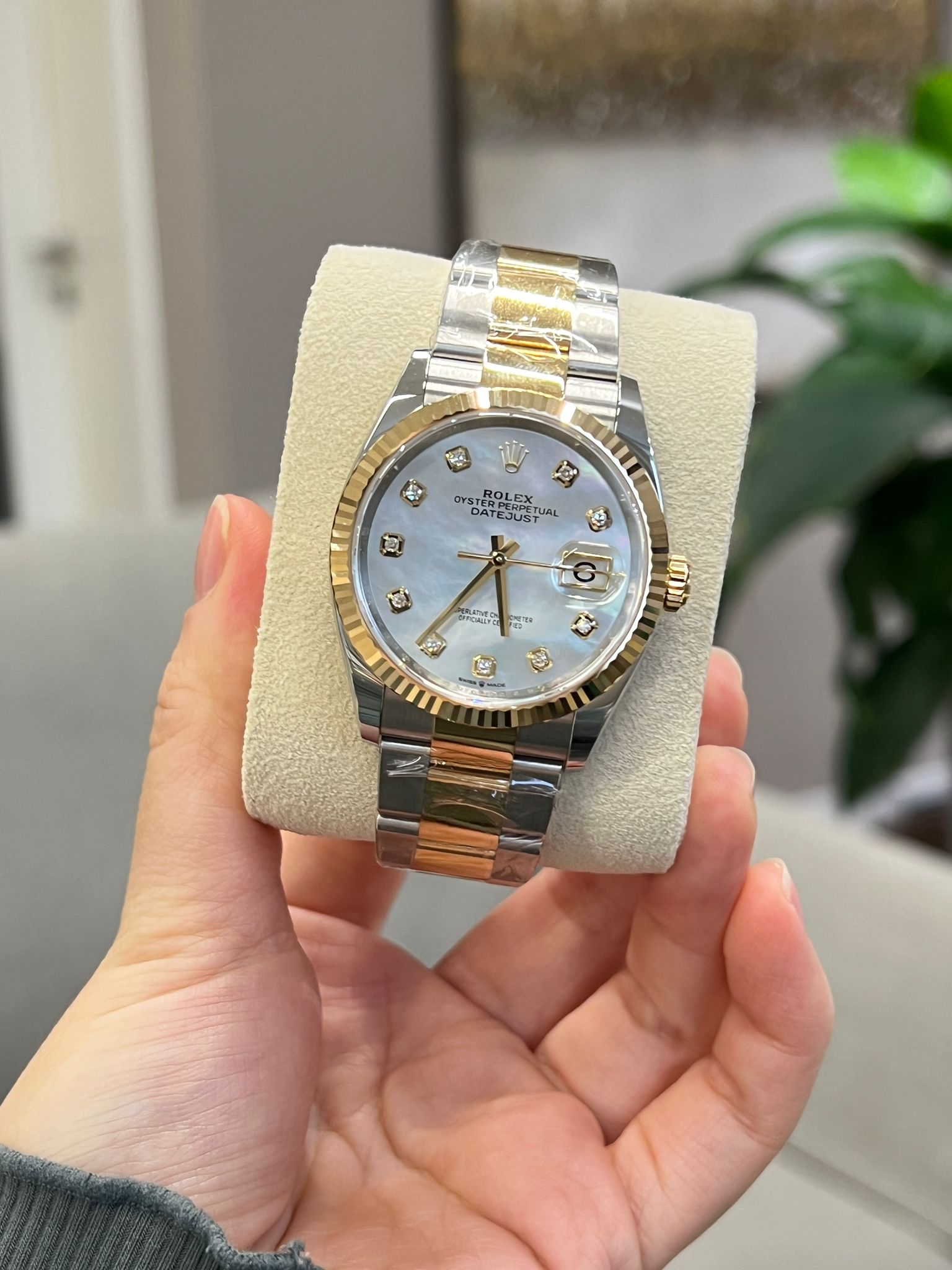 Rolex Datejust 36 126233Ng Weiße Auster 2025