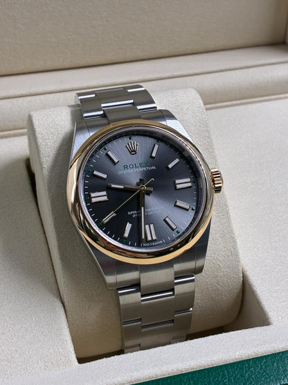 Rolex Oyster Perpetual 41  134303 Grey Oyster 2026