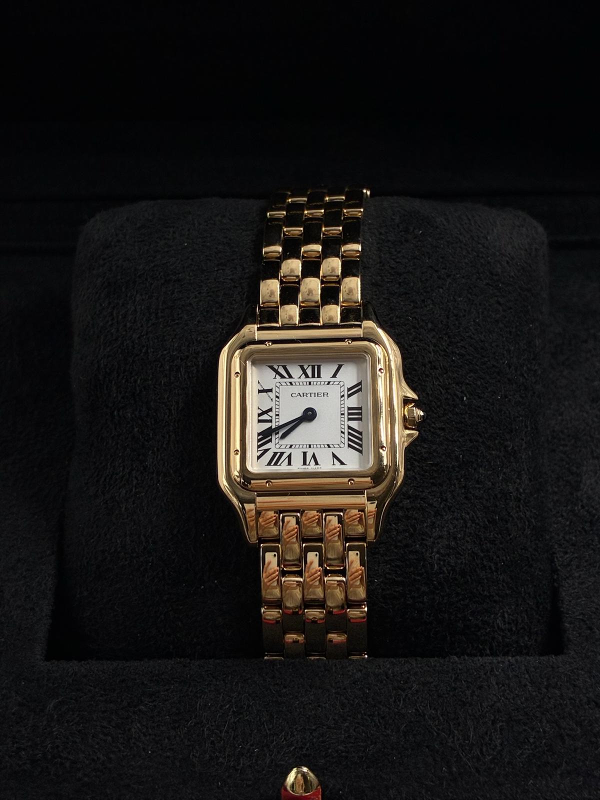 Cartier Panthère Wgpn0058 2026