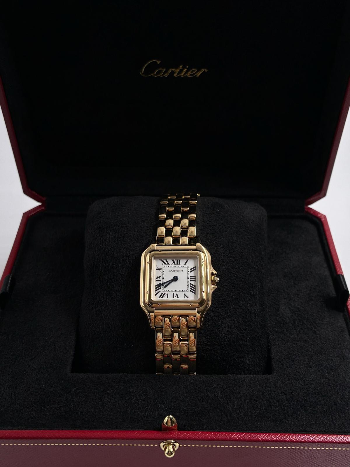 Cartier Panthère Wgpn0058 2026