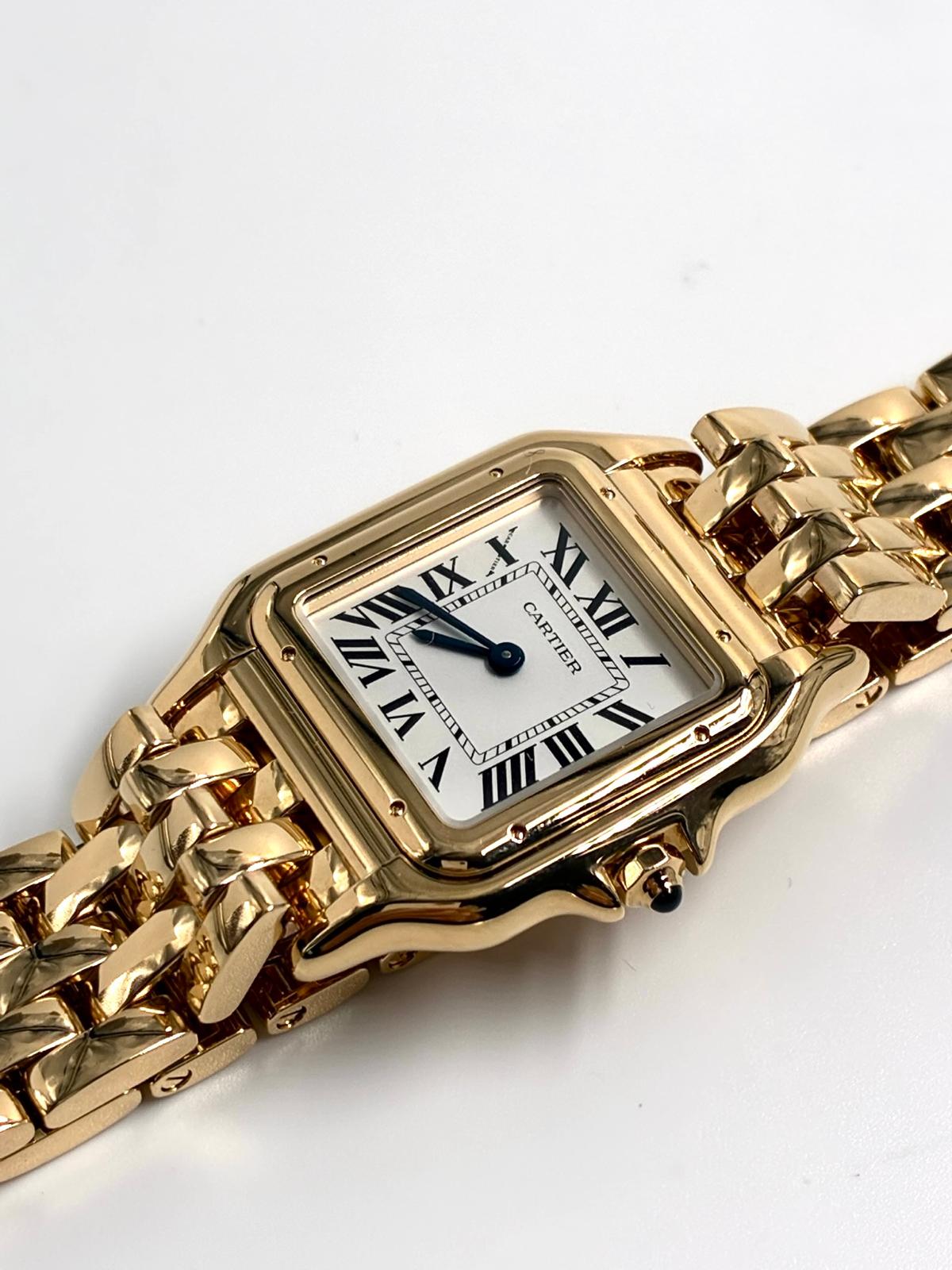 Cartier Panthère Wgpn0058 2026