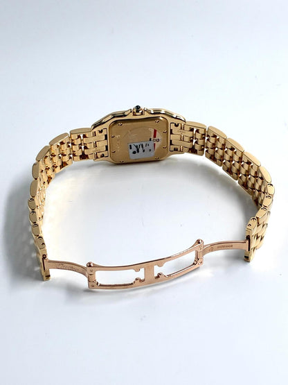 Cartier Panthère Wgpn0058 2026