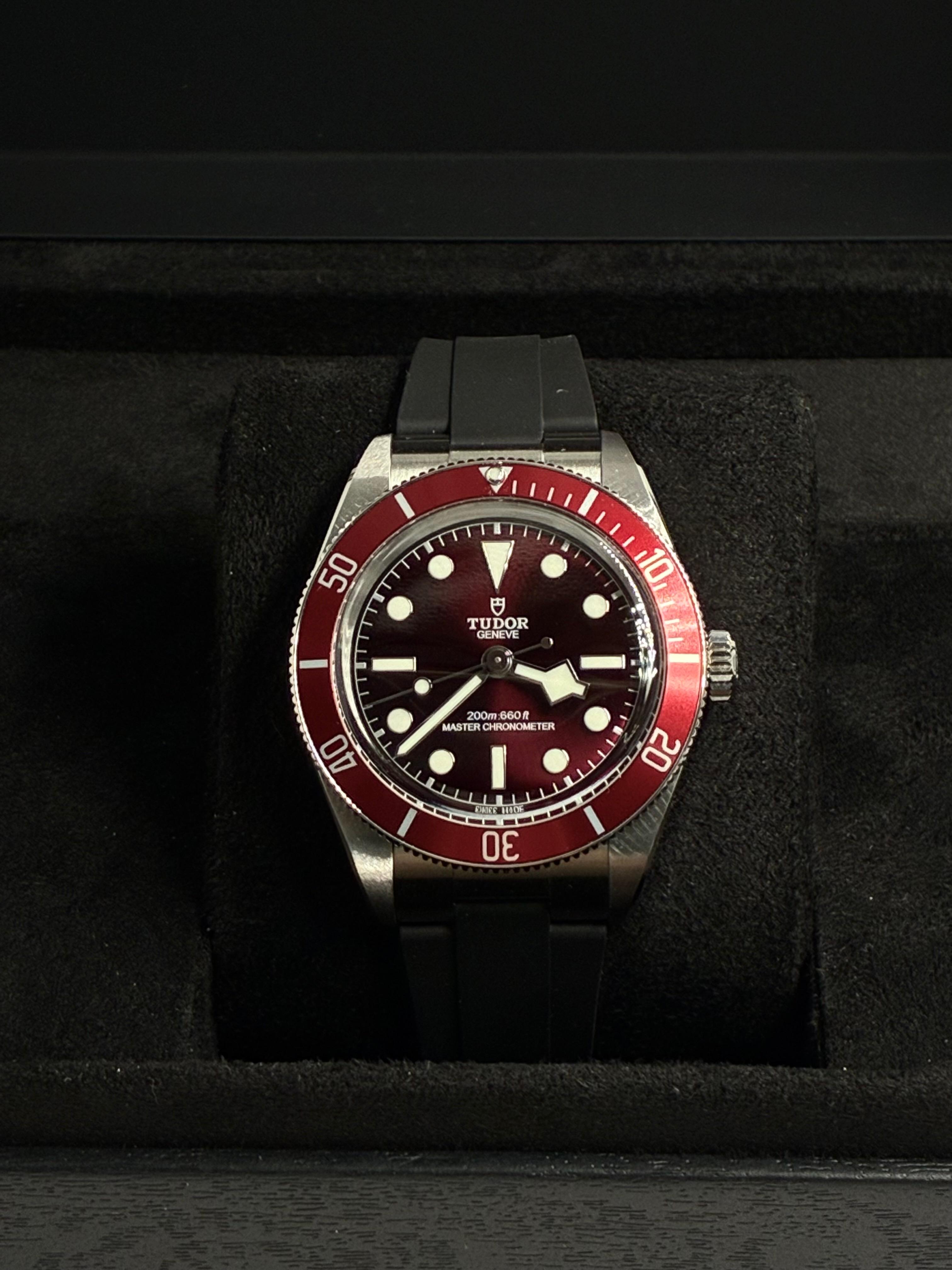 Tudor Black Bay M7939A1A0RU-0003 2026