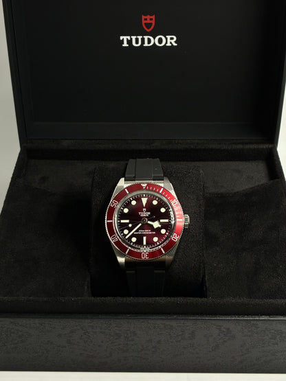Tudor Black Bay M7939A1A0RU-0003 2026