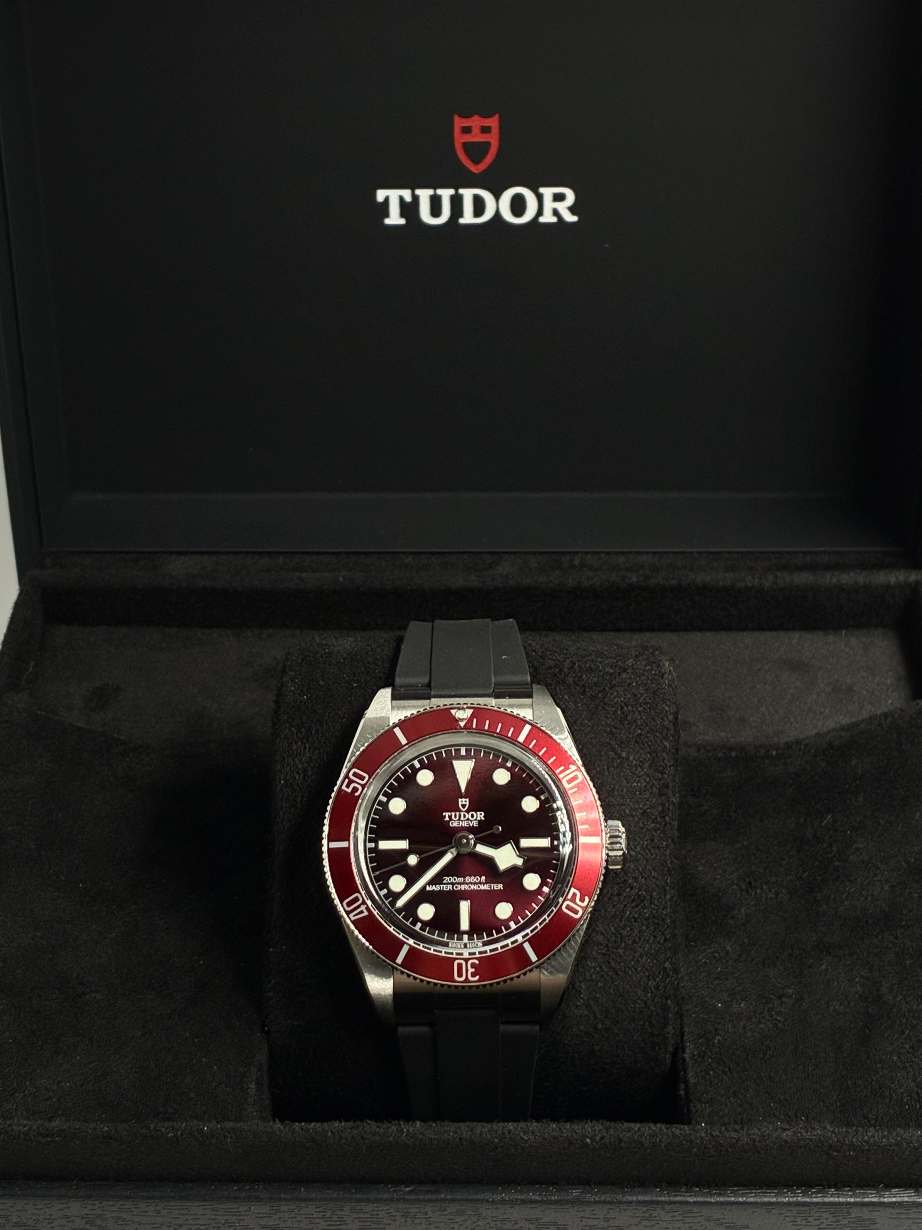 Tudor Black Bay M7939A1A0RU-0003 2026
