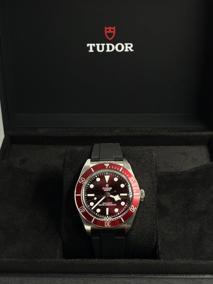 Tudor Black Bay M7939A1A0RU-0003 2026
