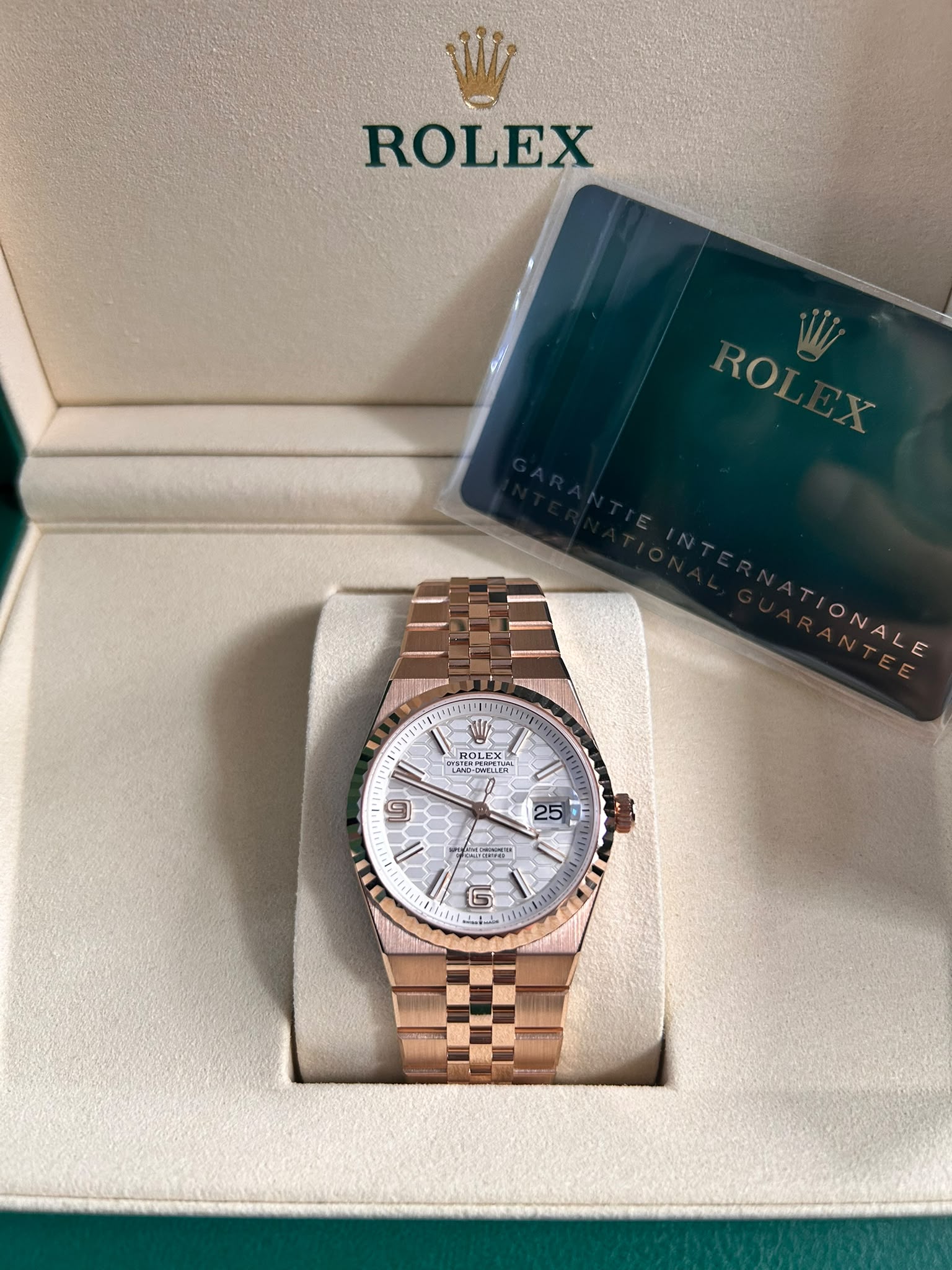 Rolex Land-Dweller 36 127235 White 2026
