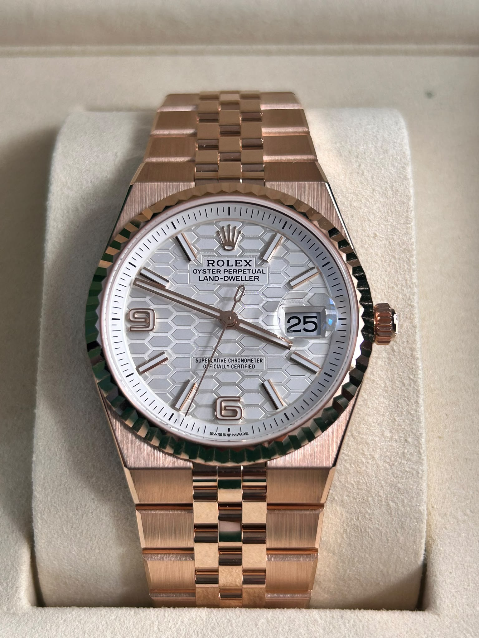 Rolex Land-Dweller 36 127235 White 2026