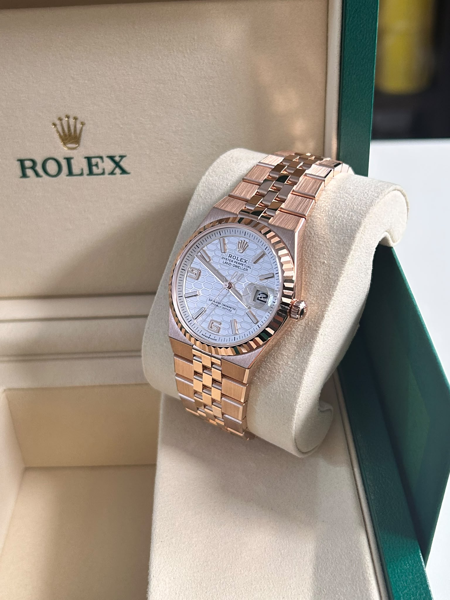 Rolex Land-Dweller 36 127235 White 2026