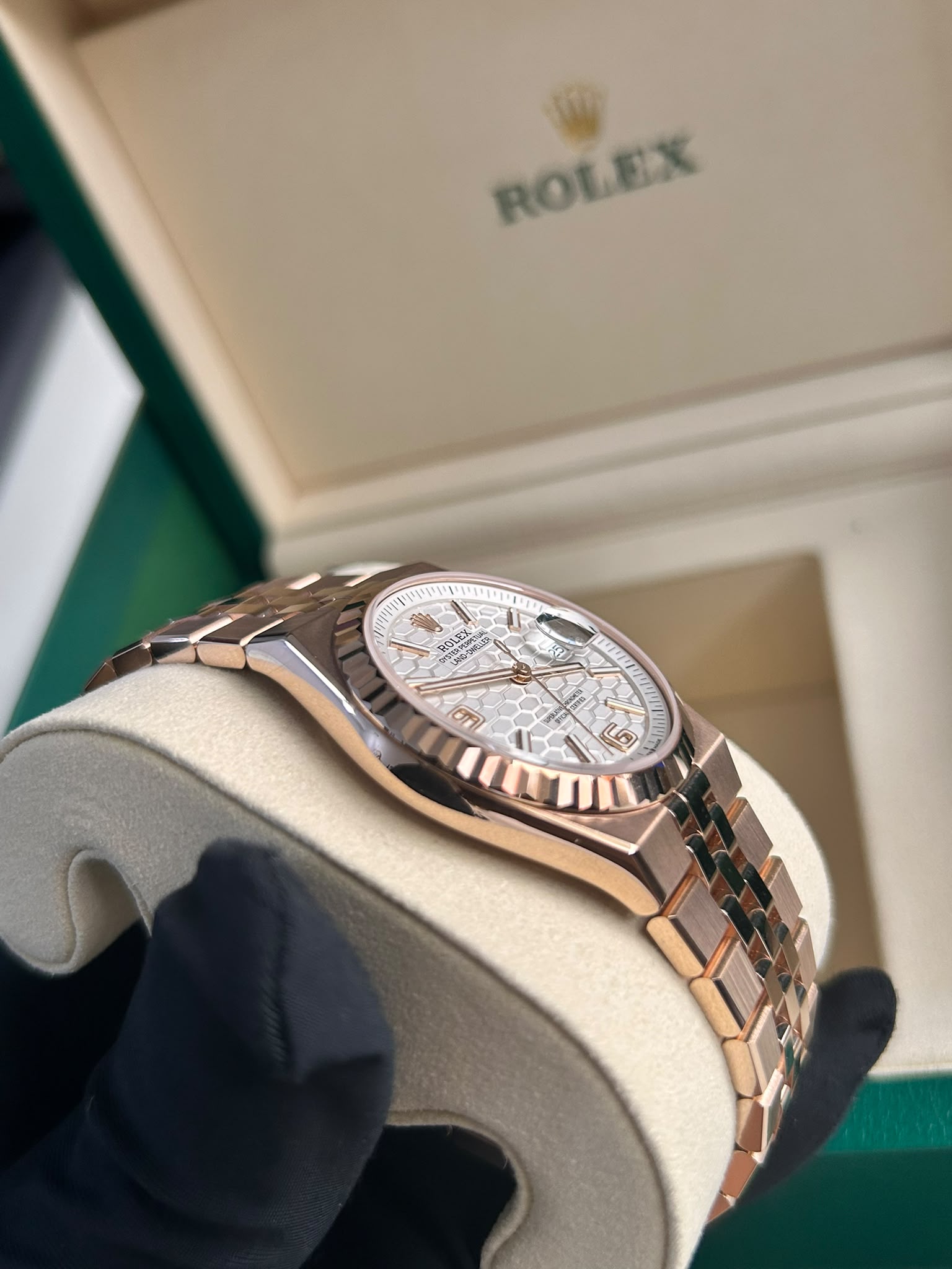 Rolex Land-Dweller 36 127235 White 2026