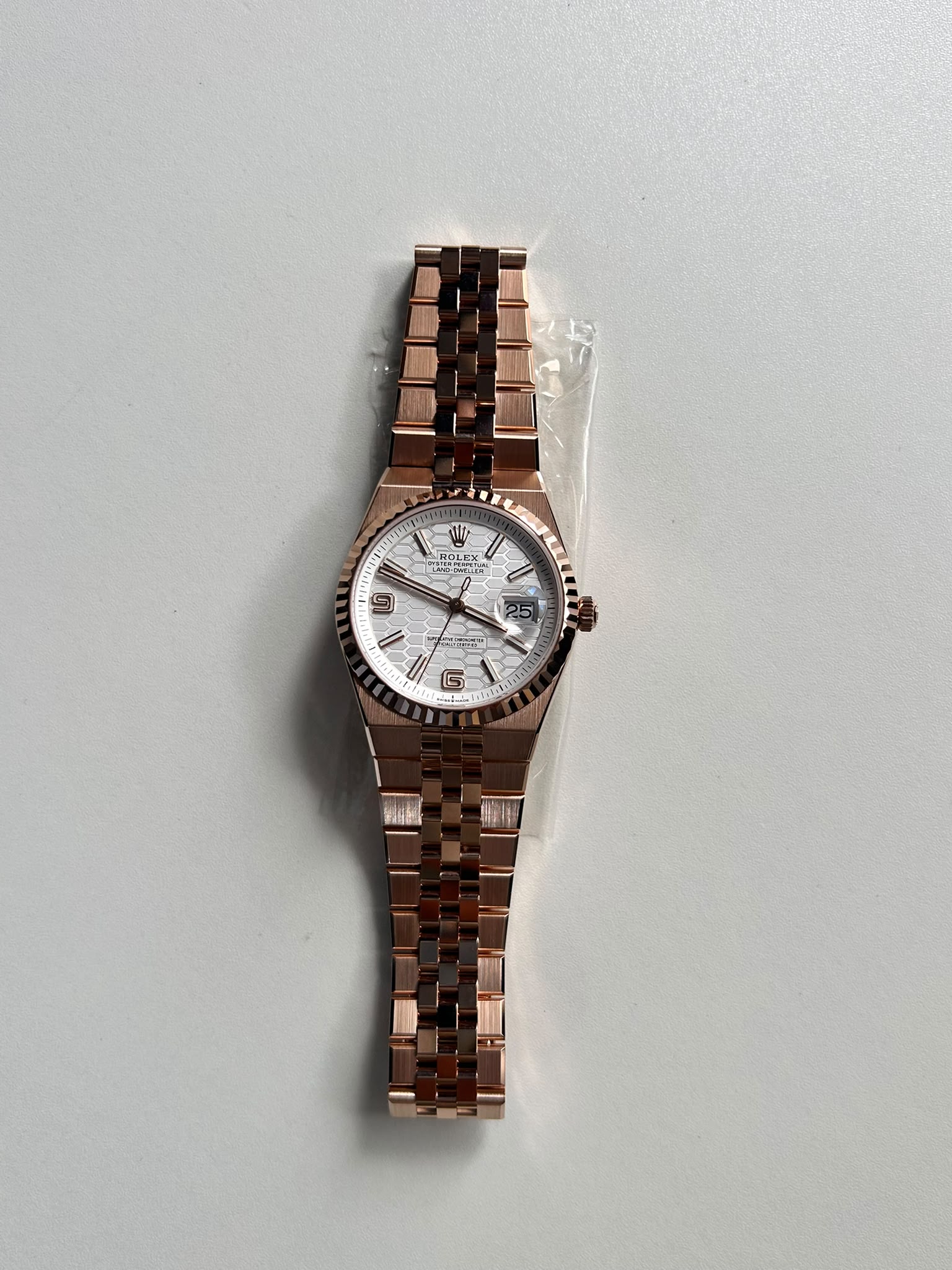 Rolex Land-Dweller 36 127235 White 2026