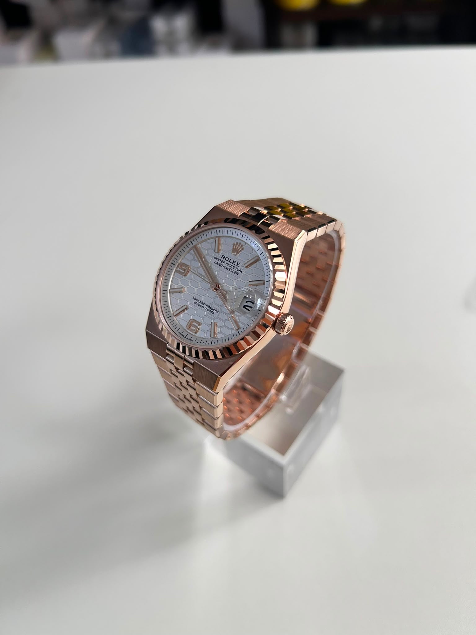 Rolex Land-Dweller 36 127235 White 2026