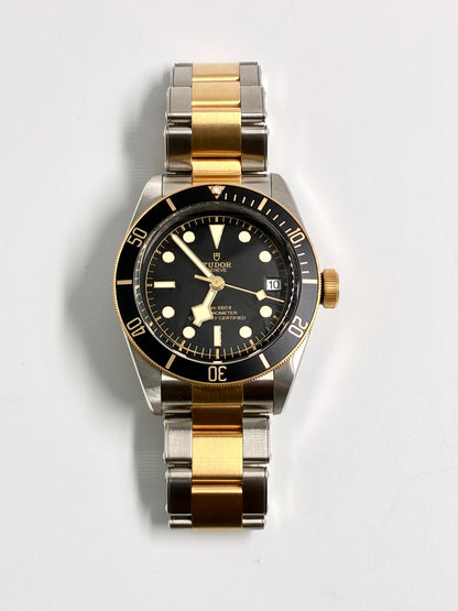 Tudor Black Bay S&g M79733N-0008 2026