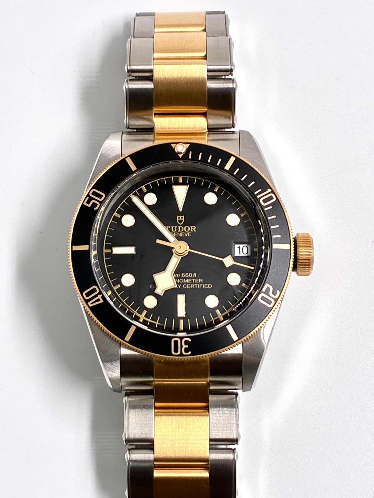 Tudor Black Bay S&g M79733N-0008 2026
