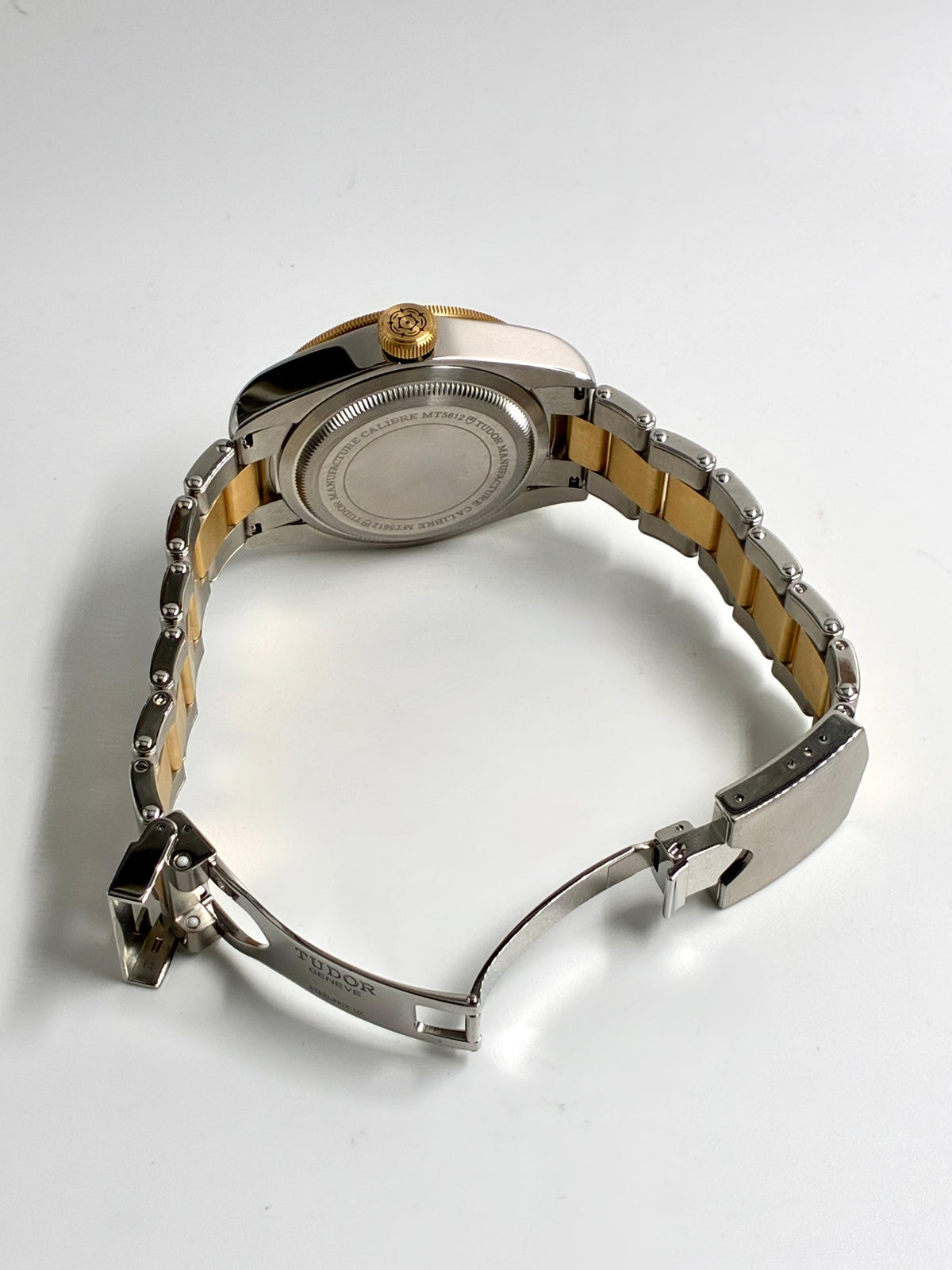 Tudor Black Bay S&g M79733N-0008 2026