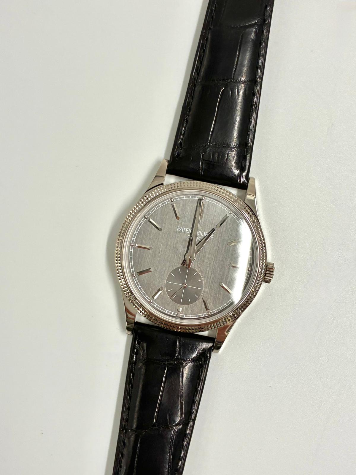 Patek Philippe Calatrava 6119G-001 Gray 2026