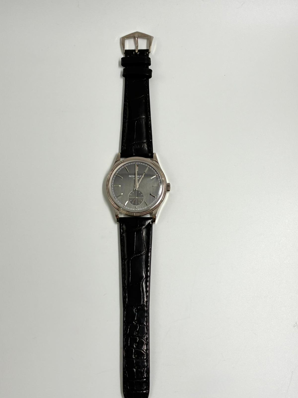 Patek Philippe Calatrava 6119G-001 Gray 2026