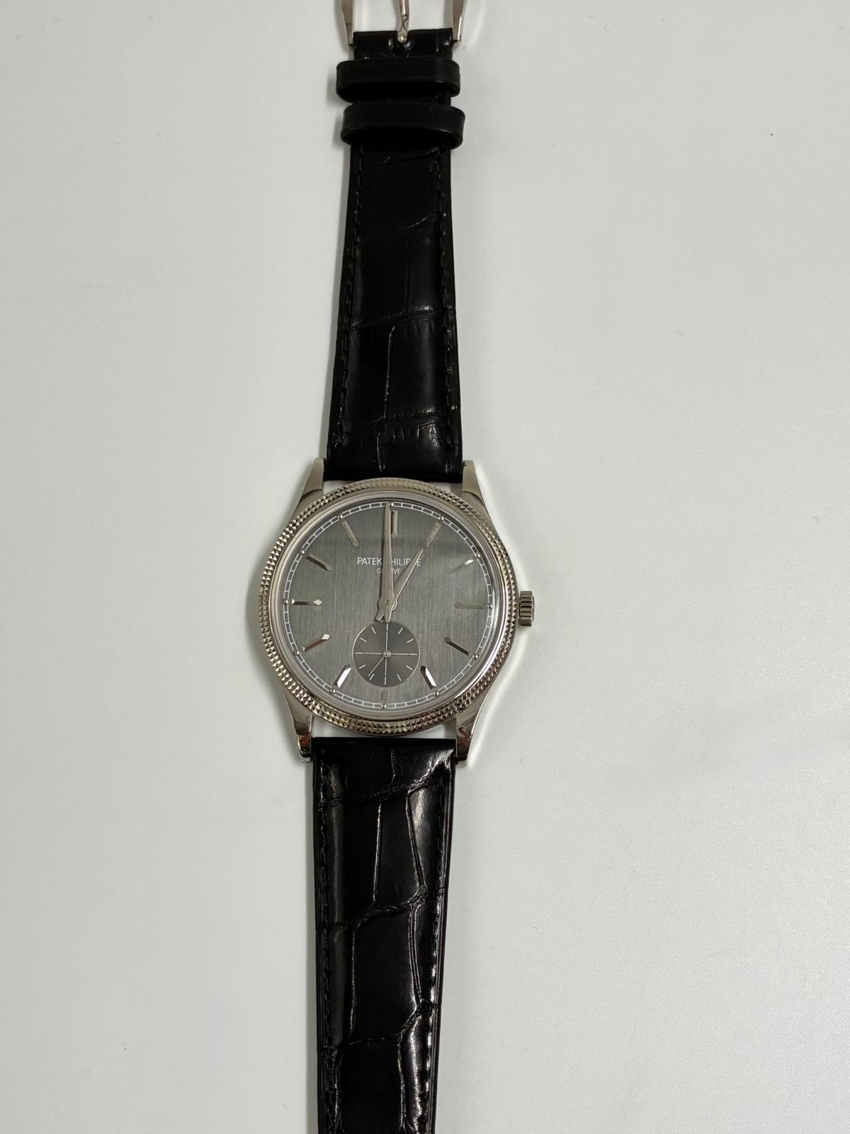 Patek Philippe Calatrava 6119G-001 Gray 2026