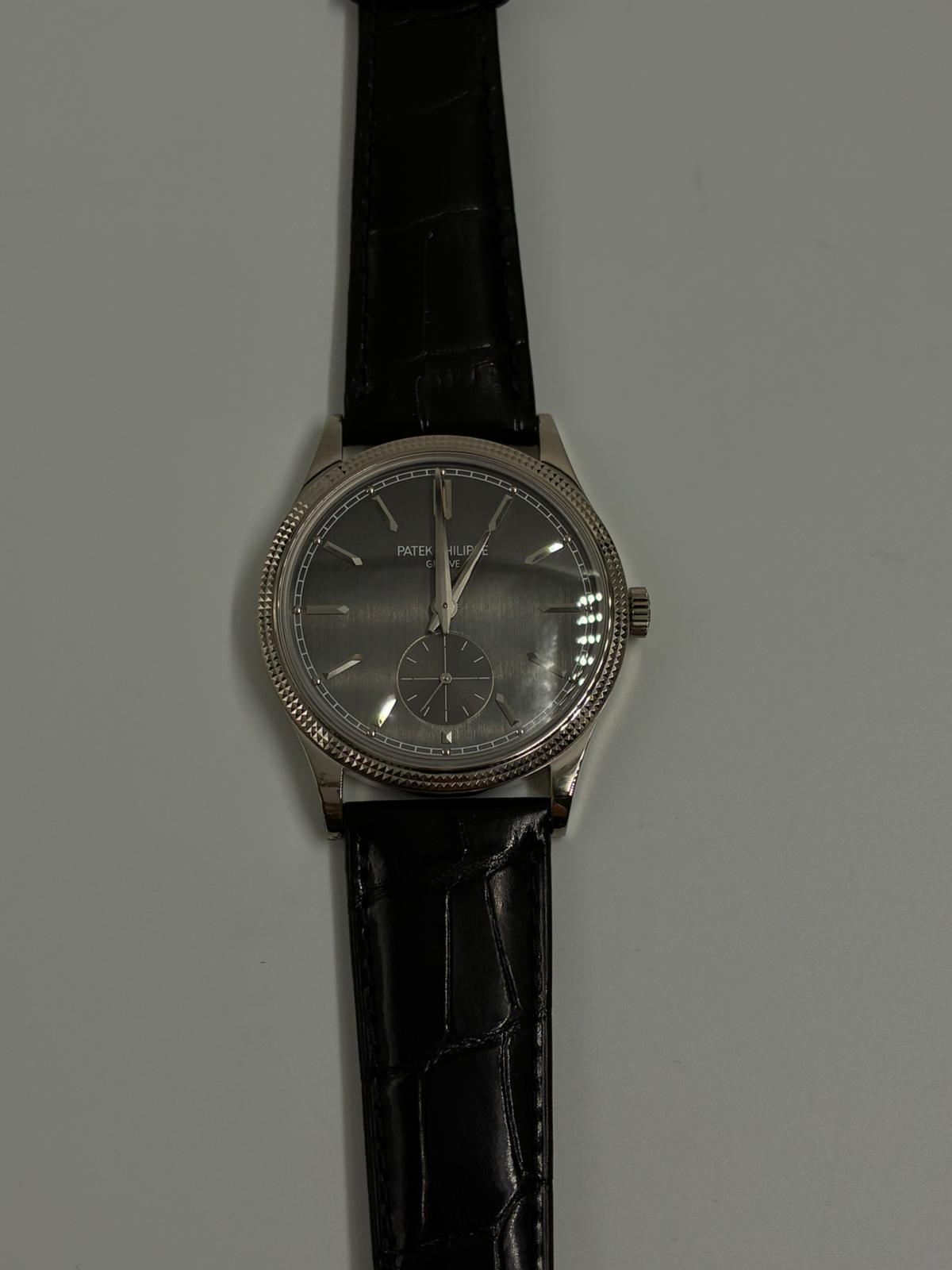 Patek Philippe Calatrava 6119G-001 Gray 2026