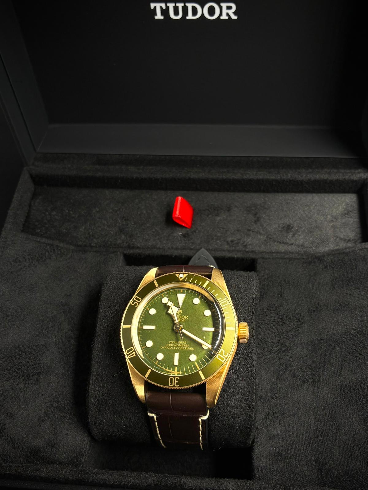 Tudor Black Bay 79018V-0001 Green 2025