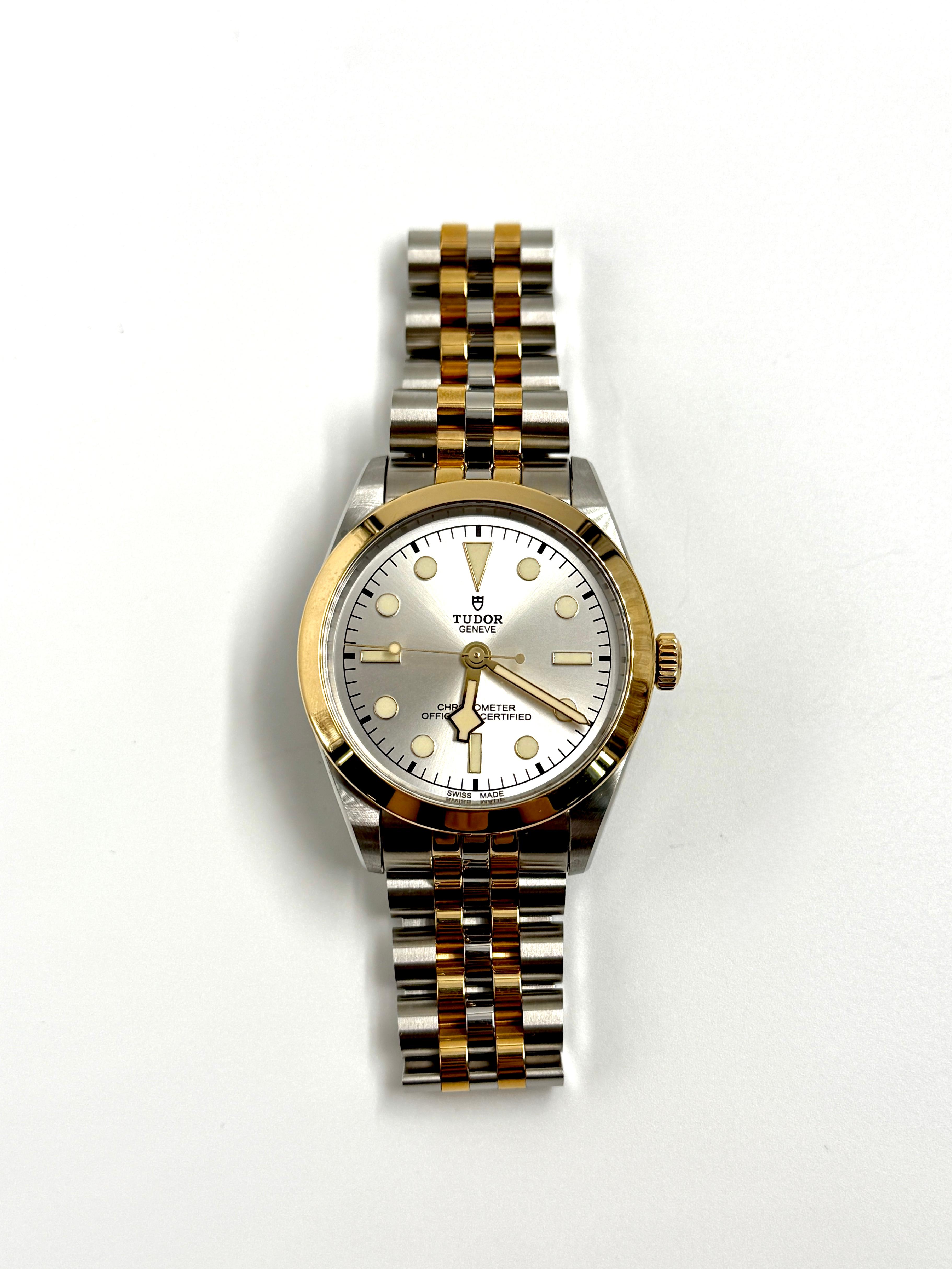 Tudor Black Bay 36 M79643-0002 SILVER