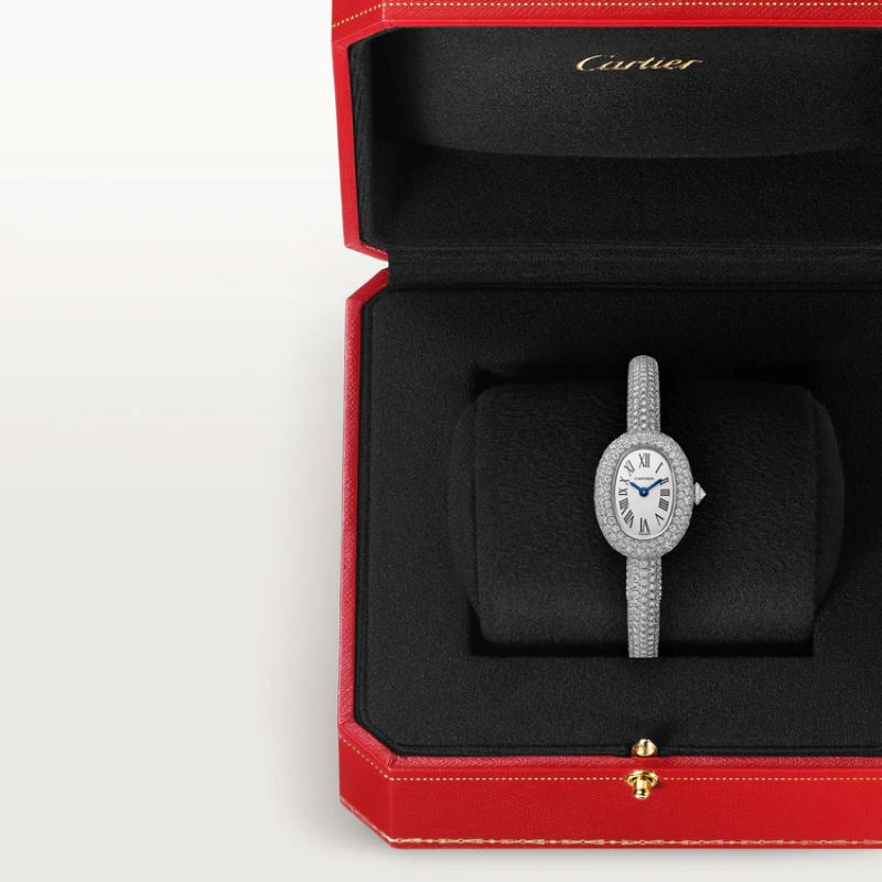 Cartier  Baignoire  HPI01854  2026