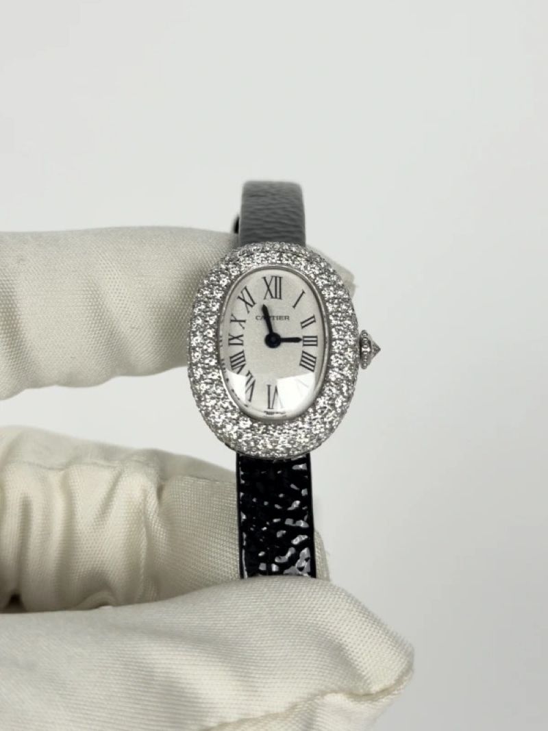 Cartier Baignoire Wjba0070 2026